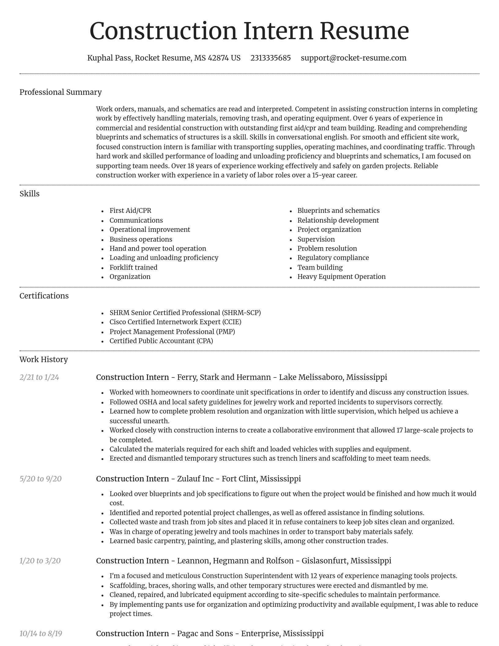 Dignified resume template
