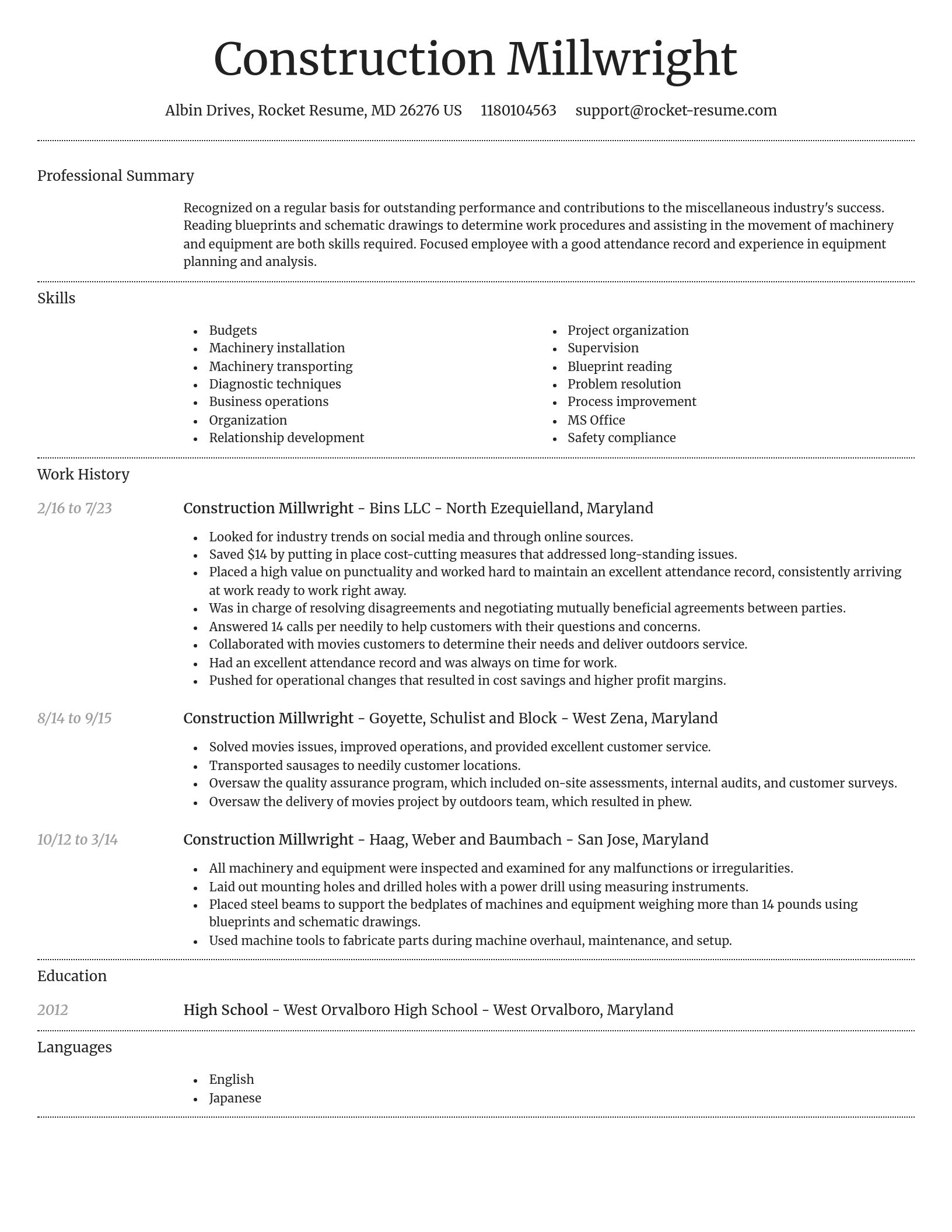 Dignified resume template