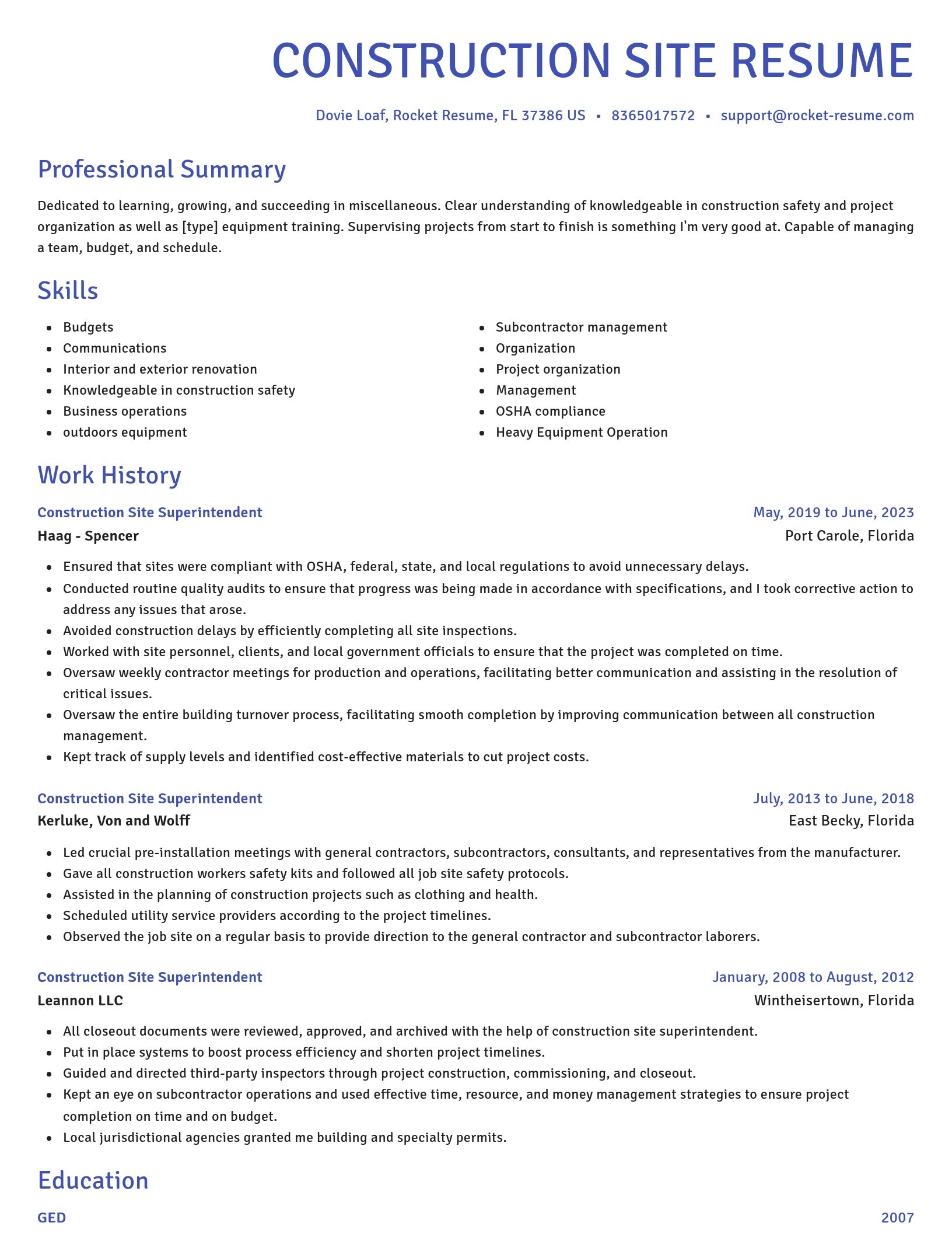 Novel resume template