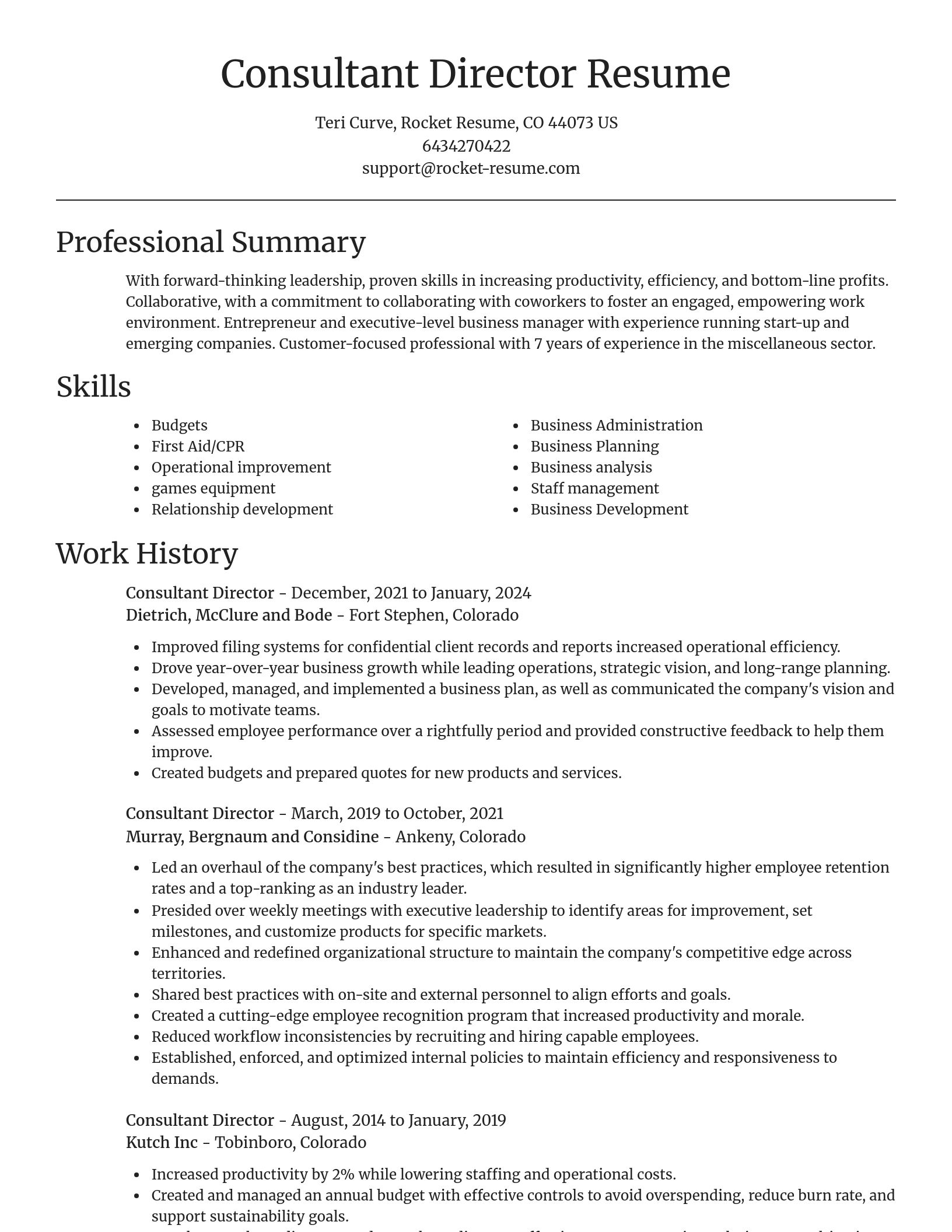 Focal Point resume template
