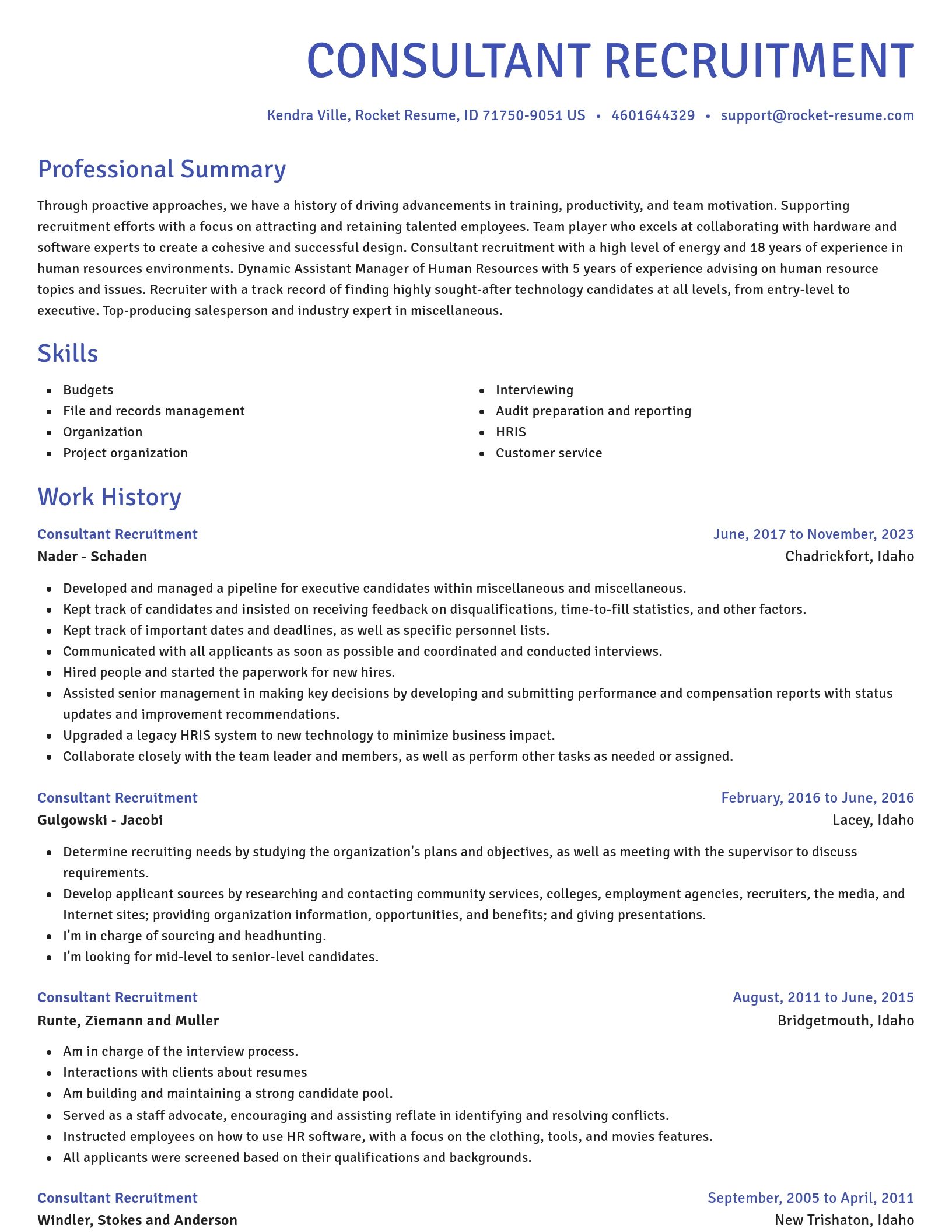 Novel resume template
