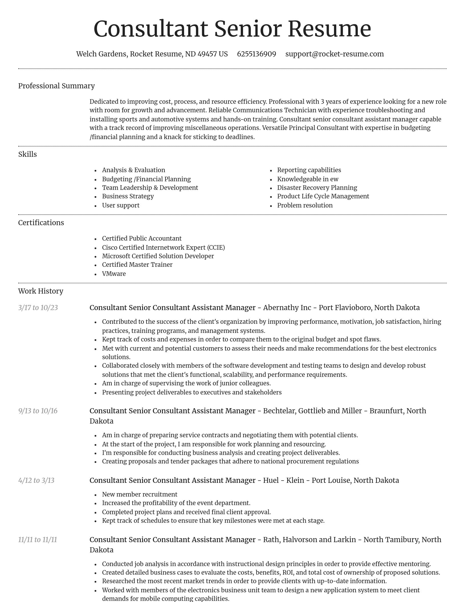 Dignified resume template