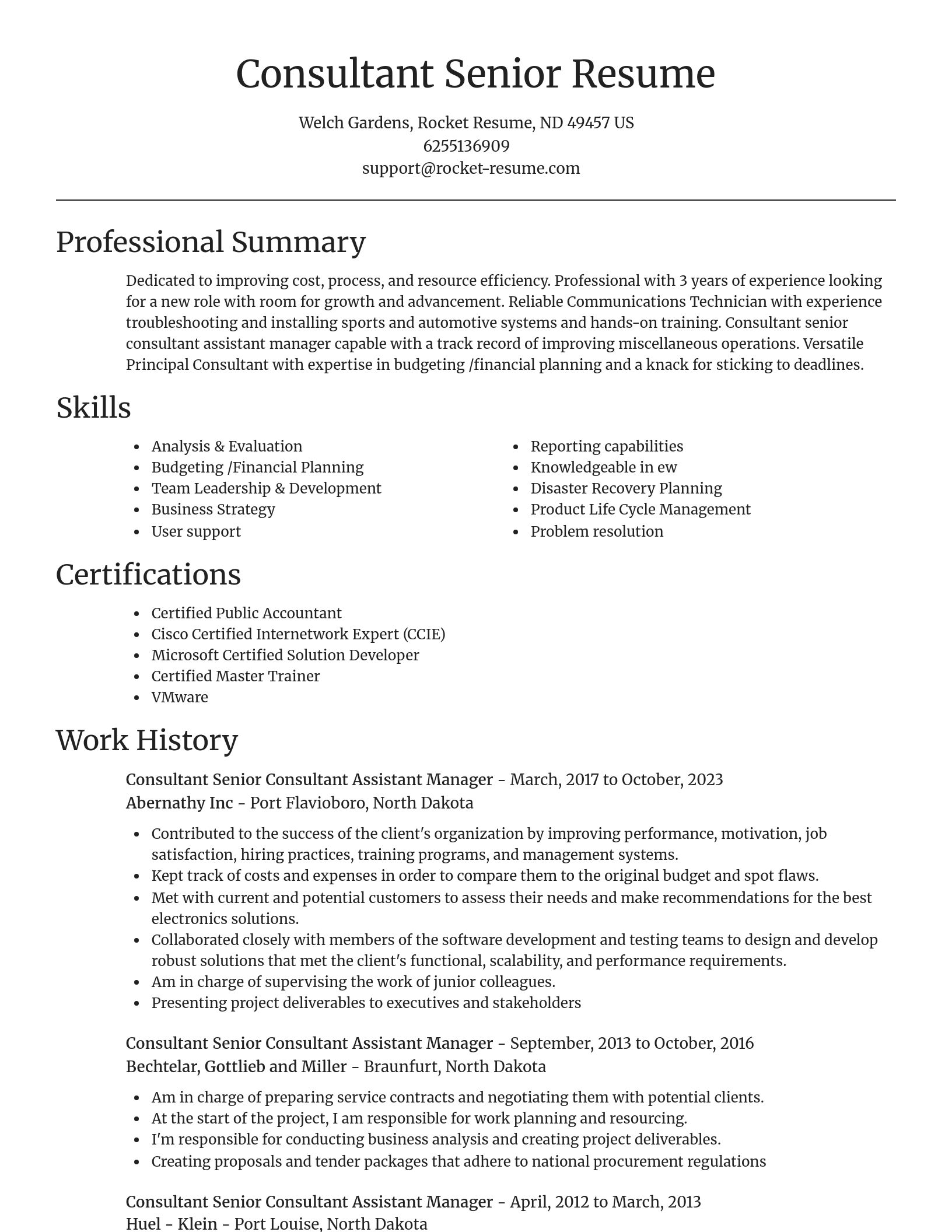Focal Point resume template