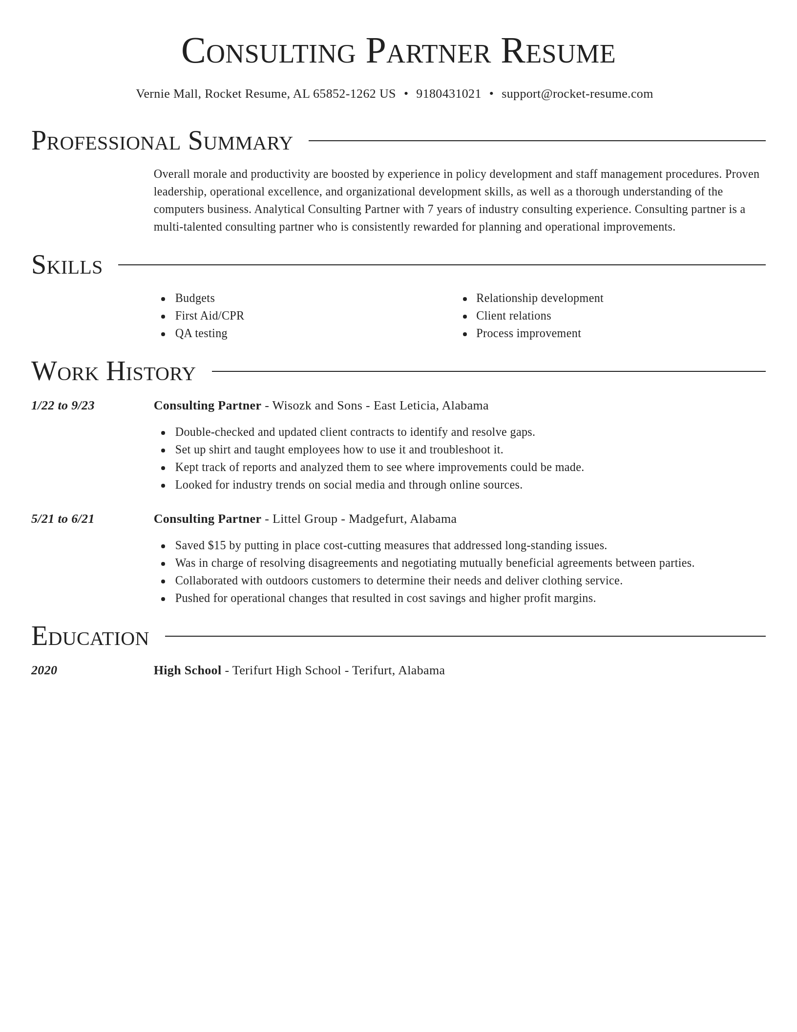 Director resume template