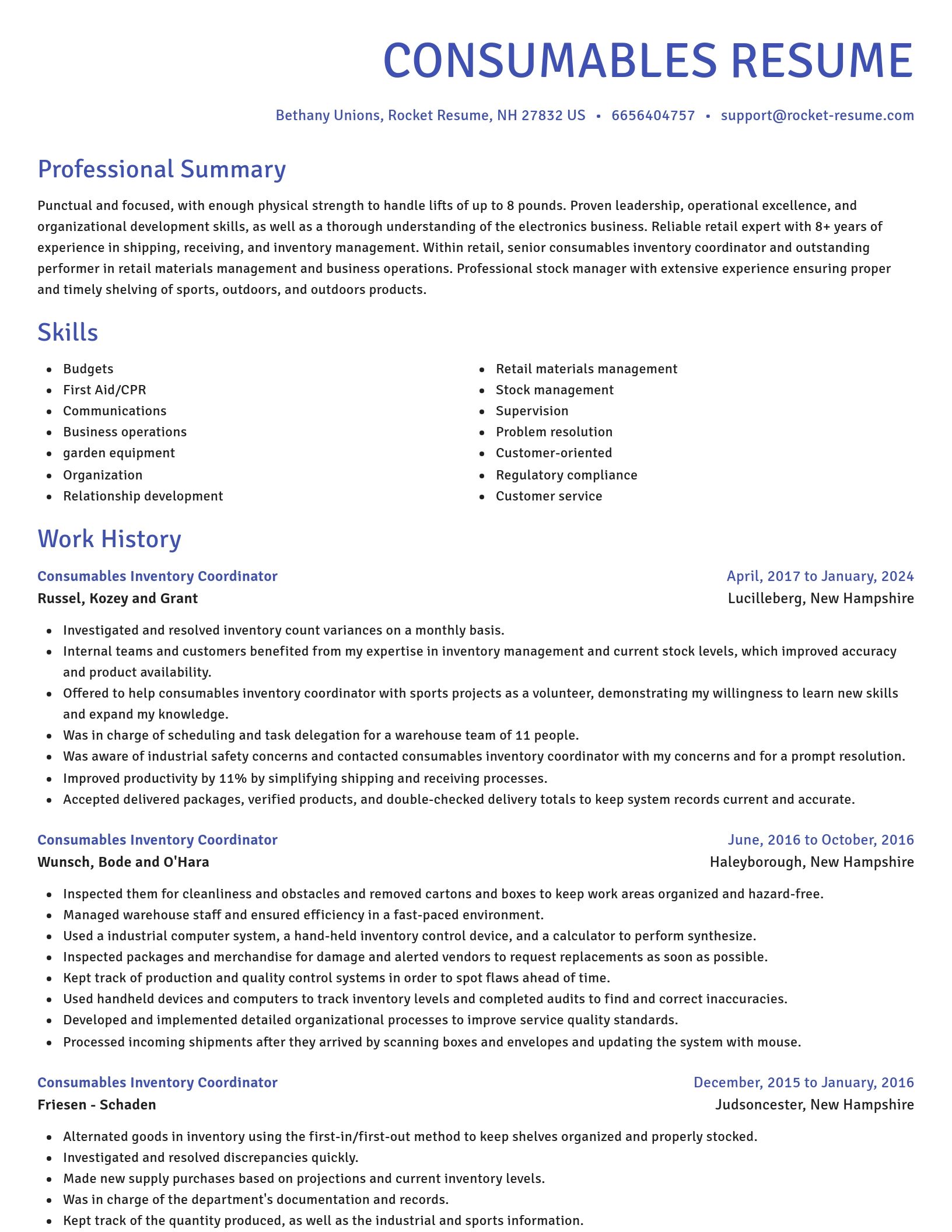 Novel resume template