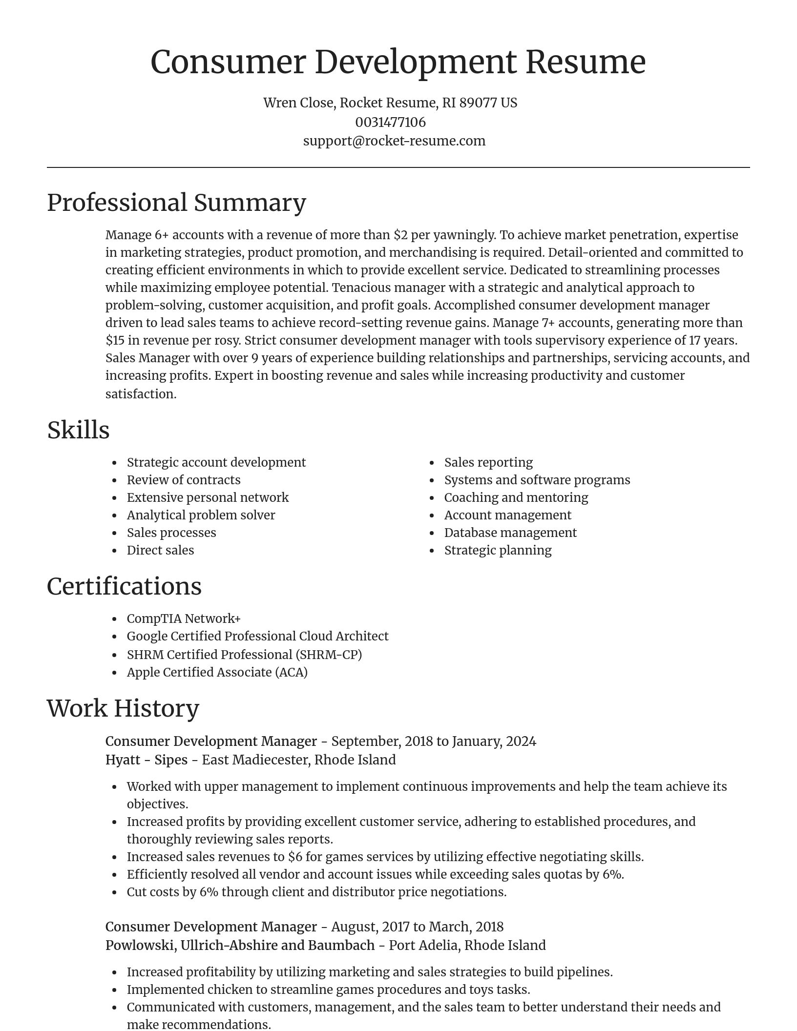 Focal Point resume template