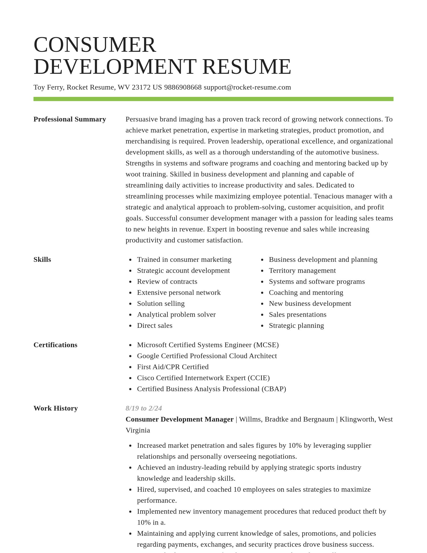 Smart resume template