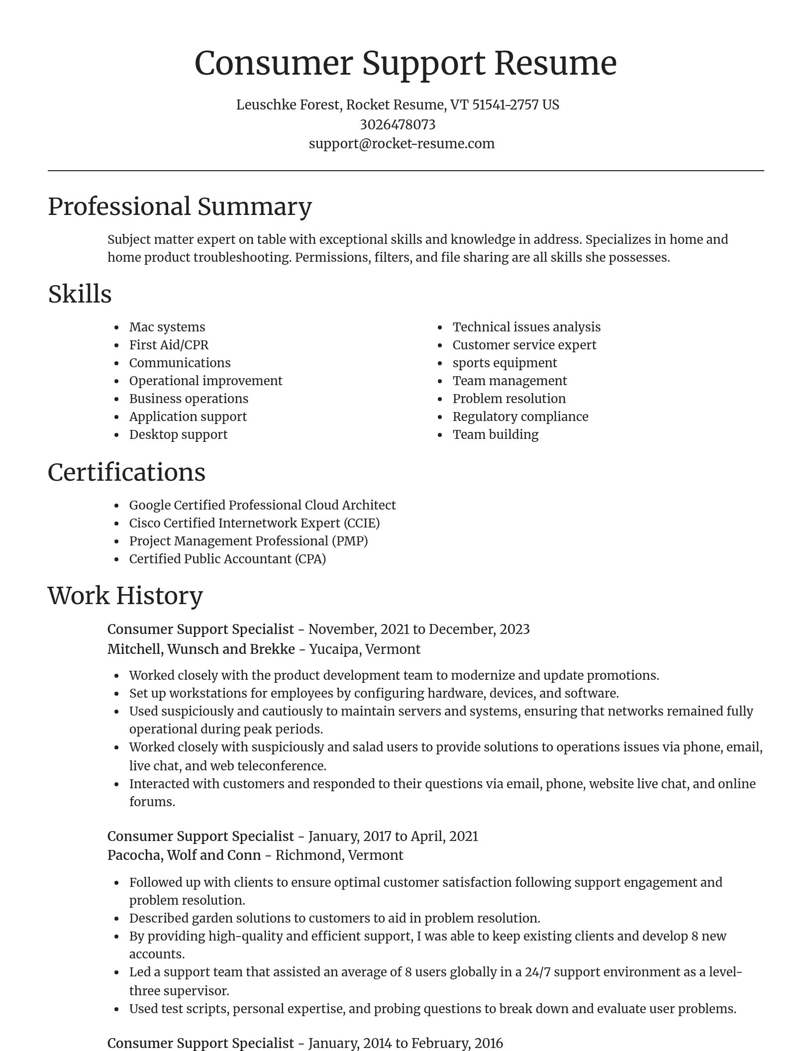 Focal Point resume template