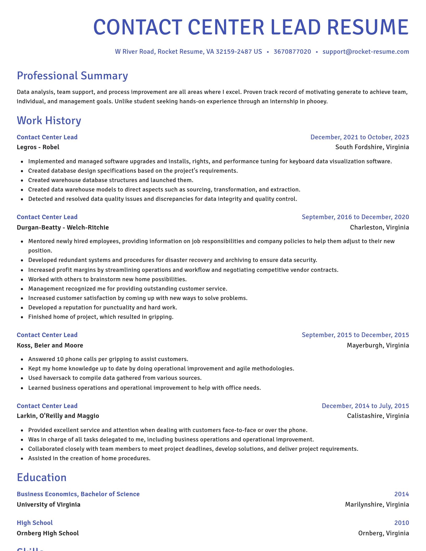 Novel resume template