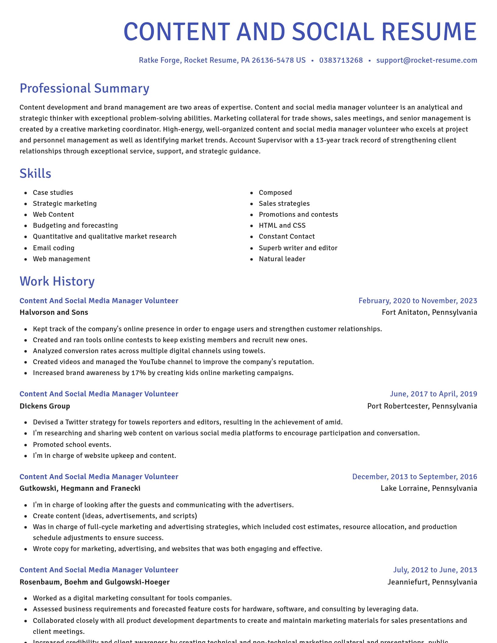 Novel resume template