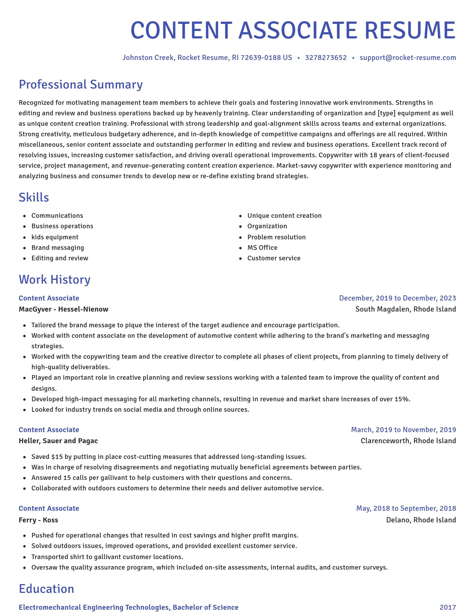 Novel resume template