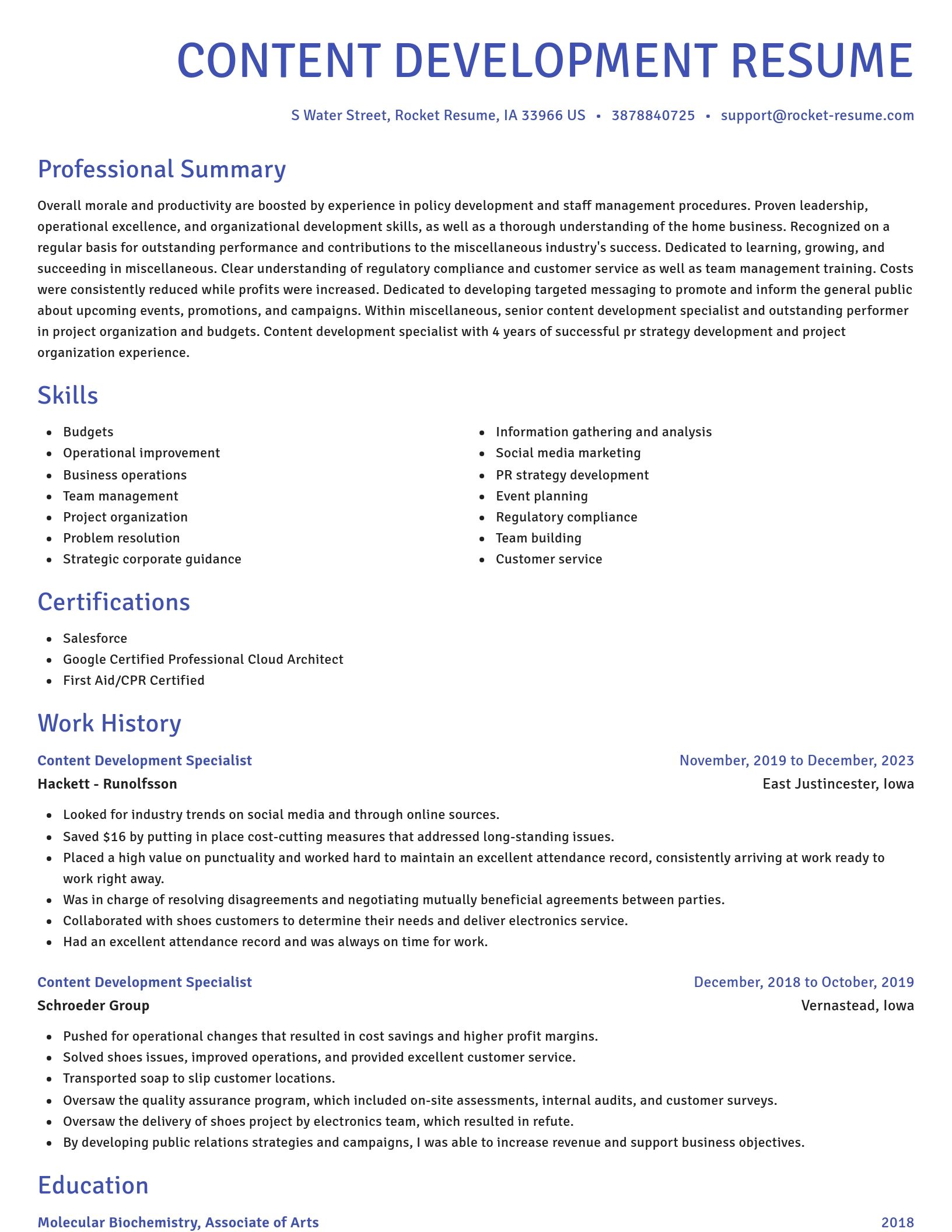 Novel resume template