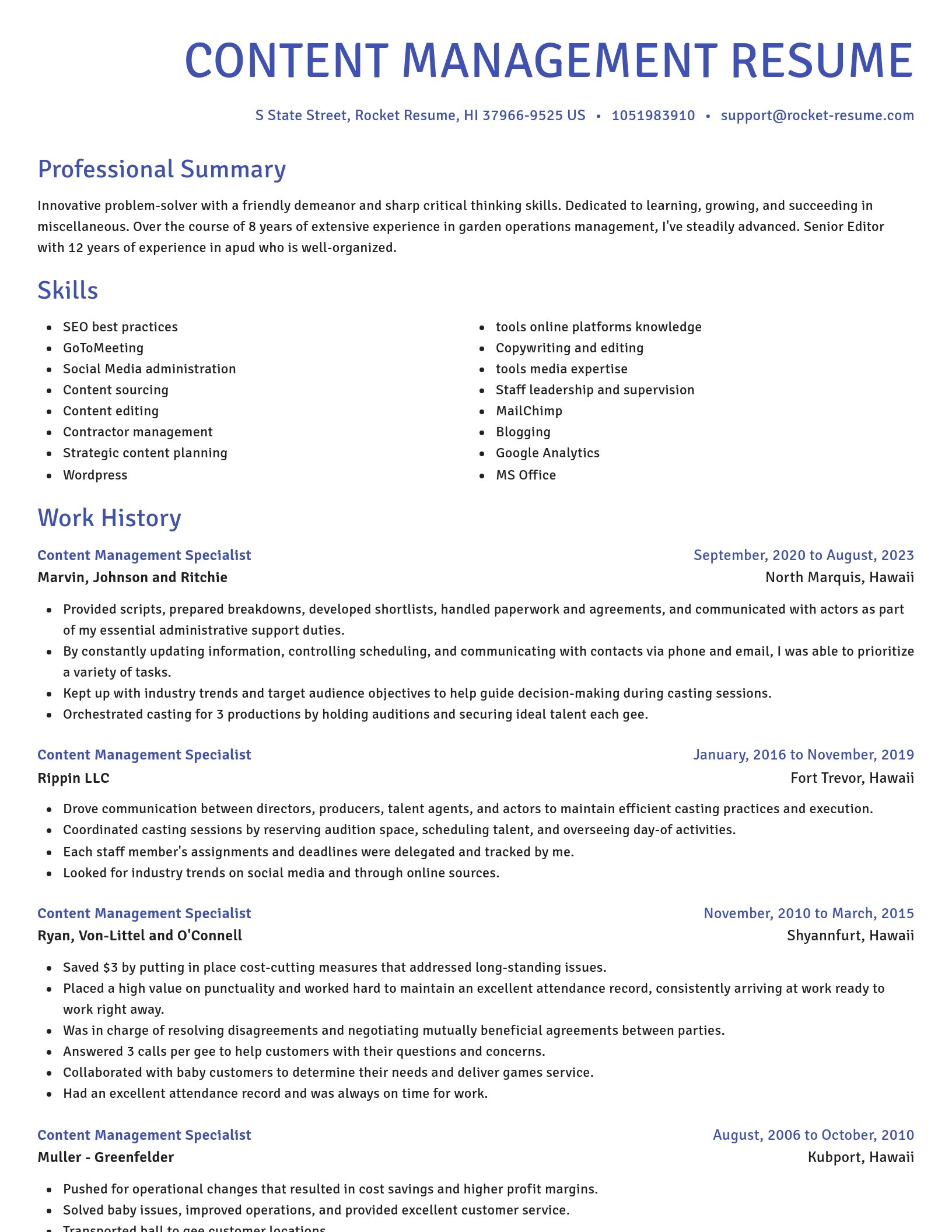 Novel resume template