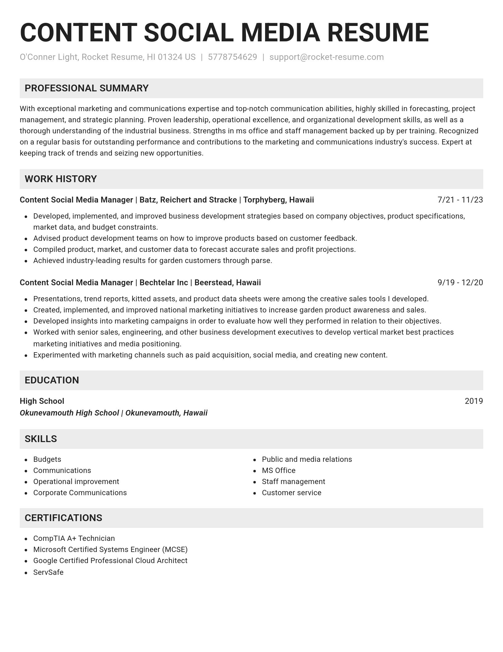 Genius resume template