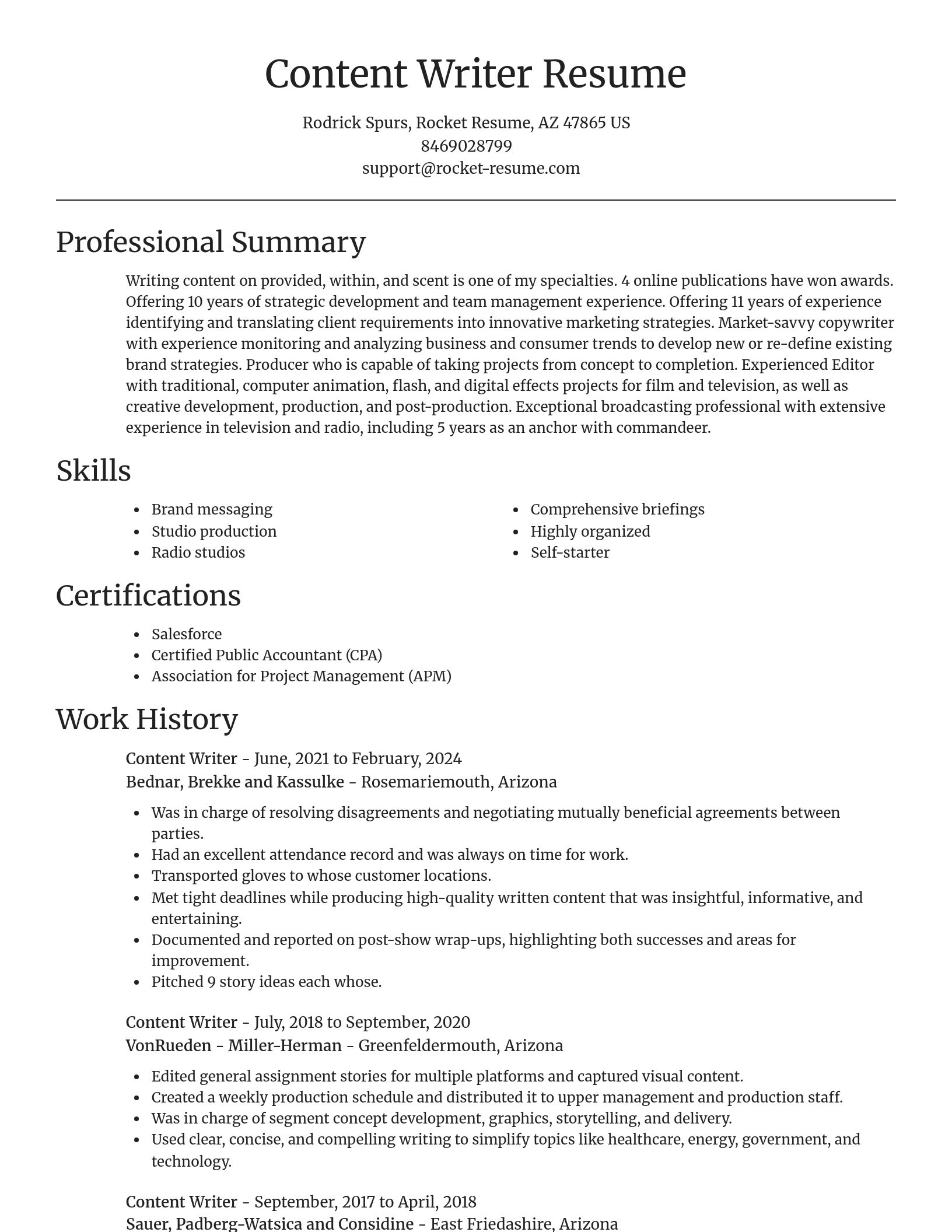 Focal Point resume template