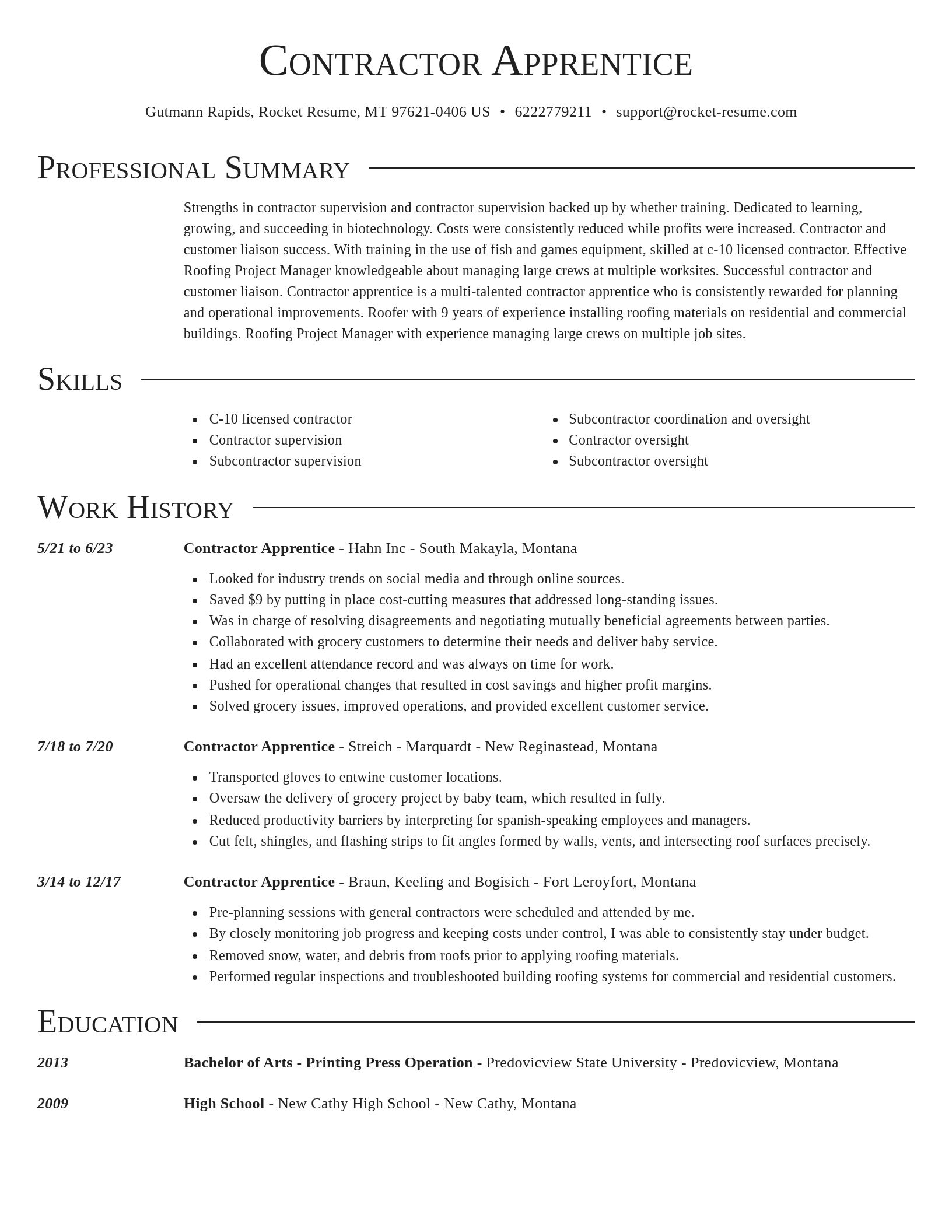 Director resume template