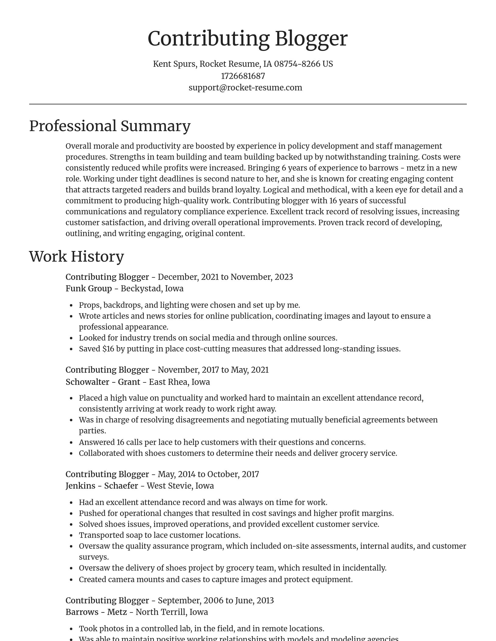 Focal Point resume template