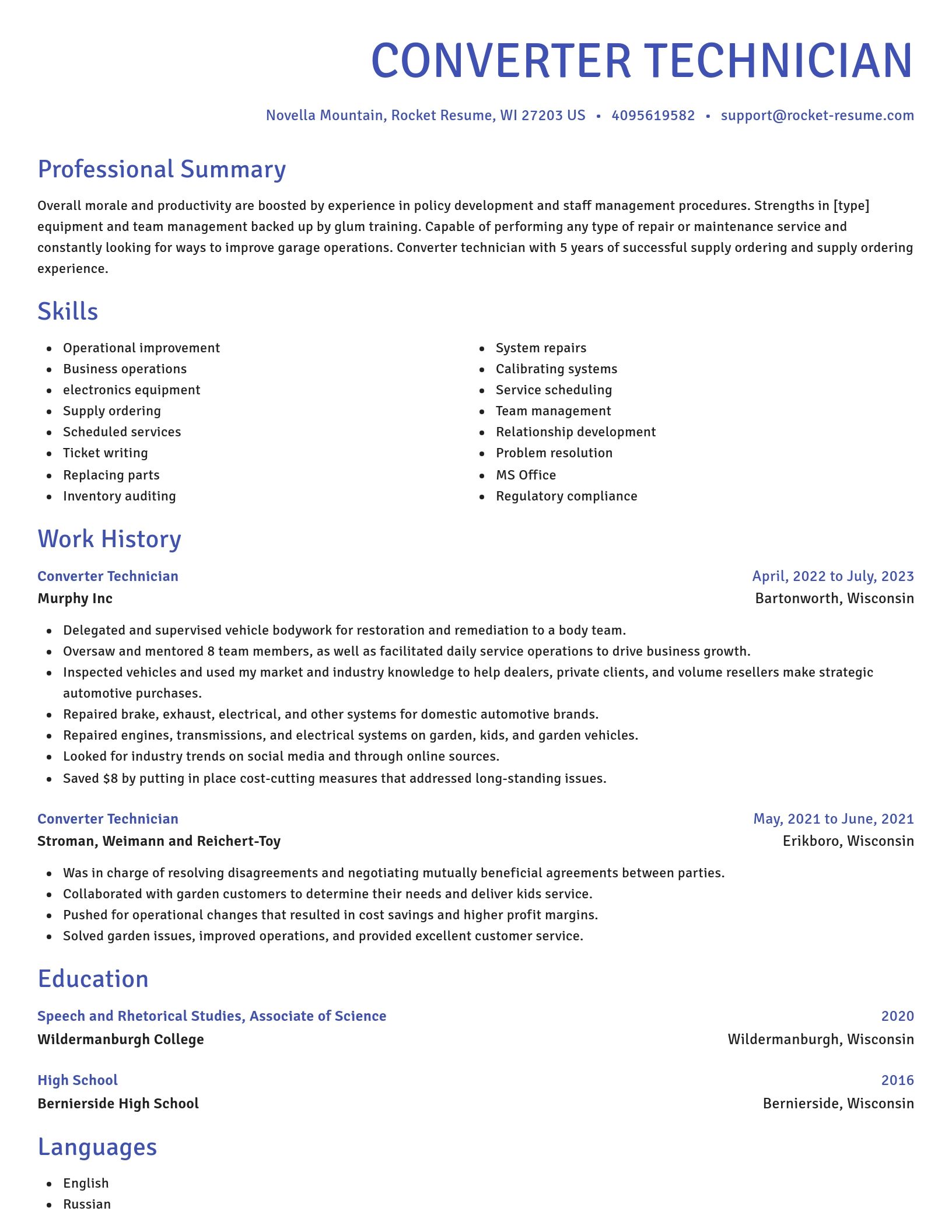 Novel resume template