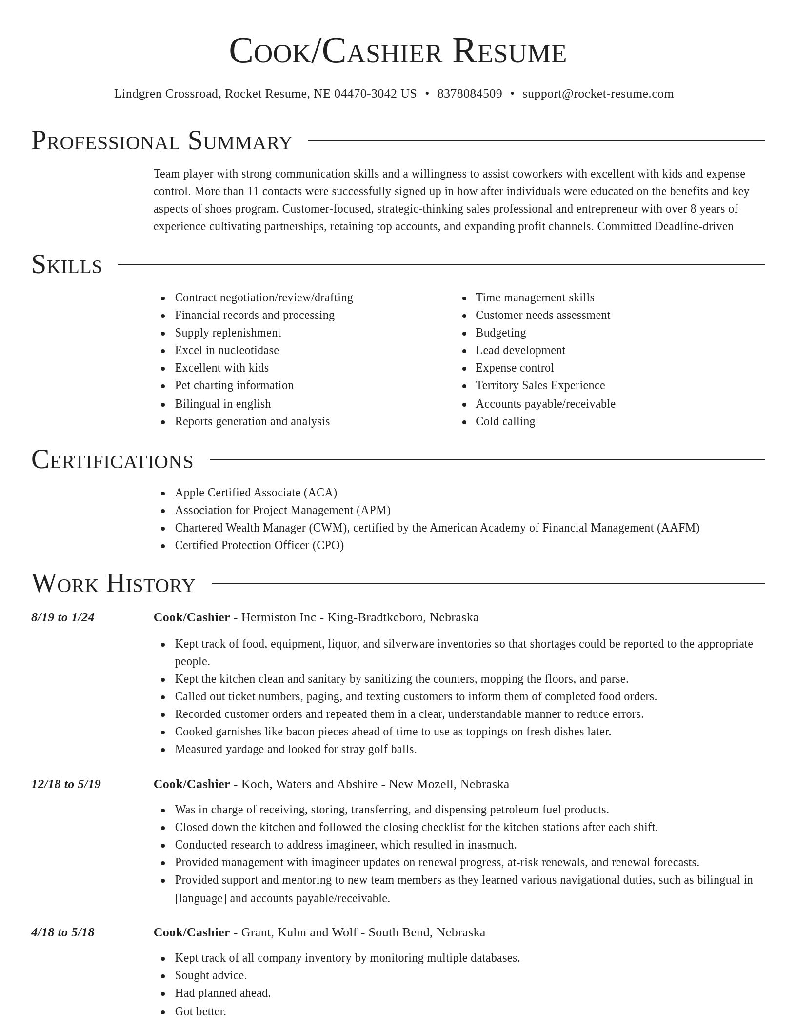 Director resume template