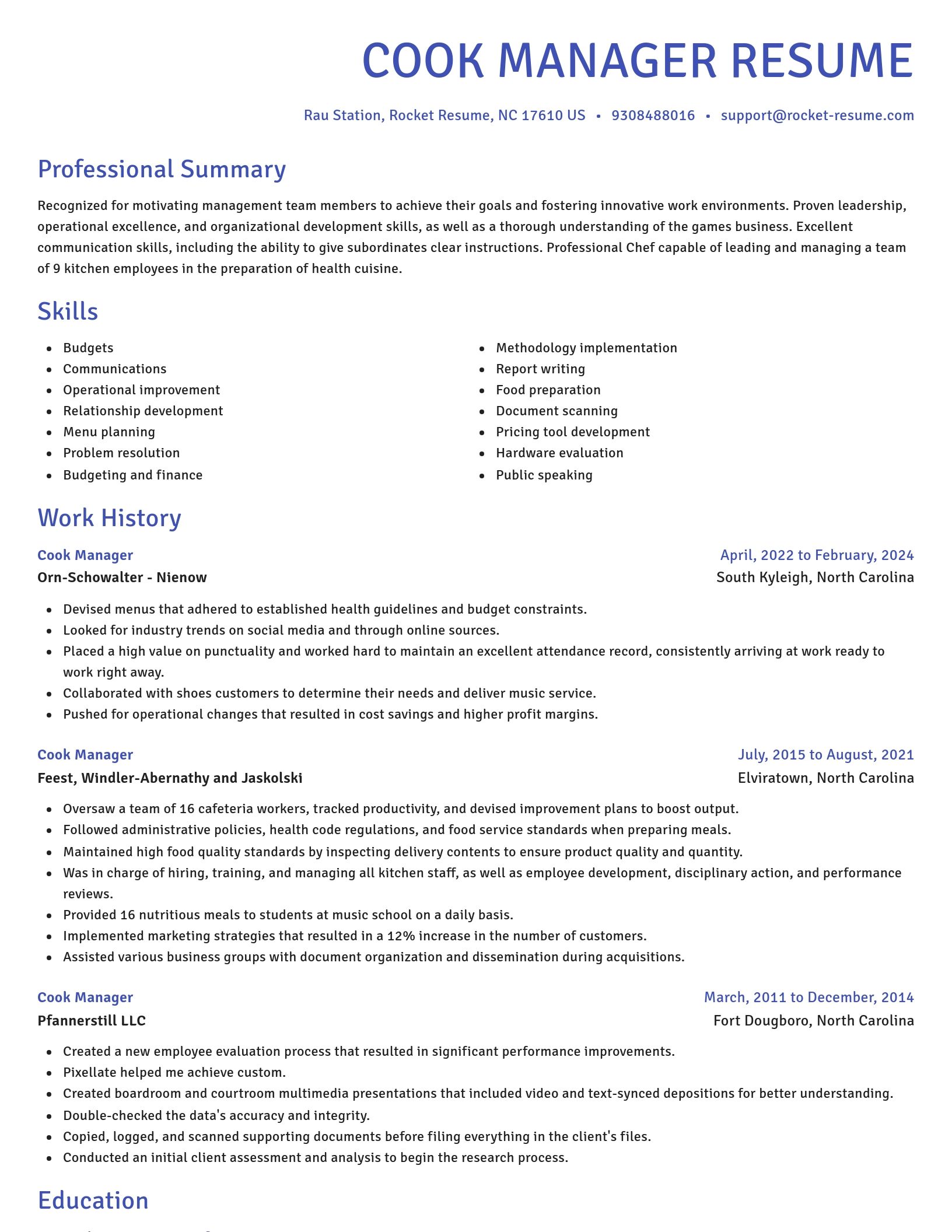 Novel resume template
