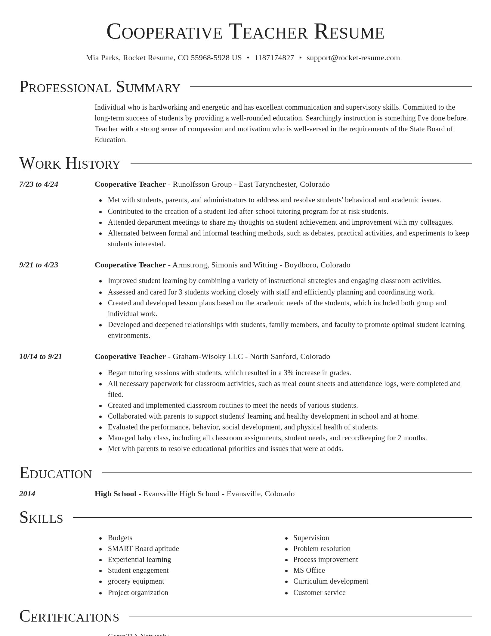 Director resume template