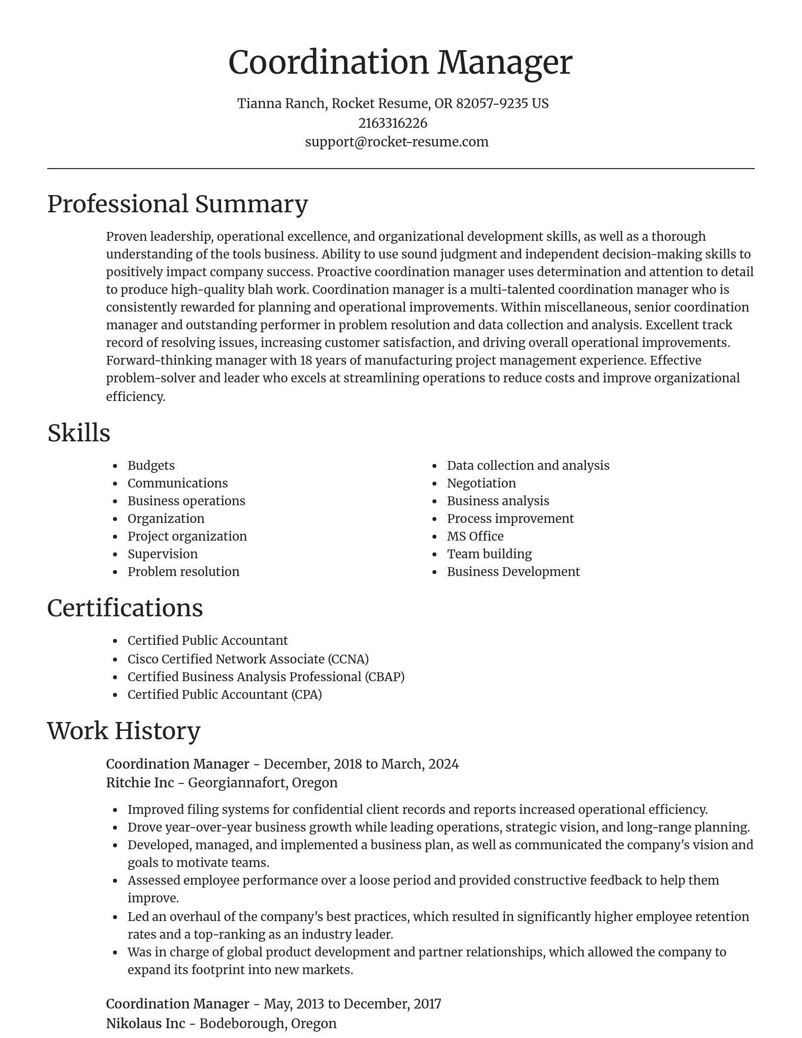Focal Point resume template