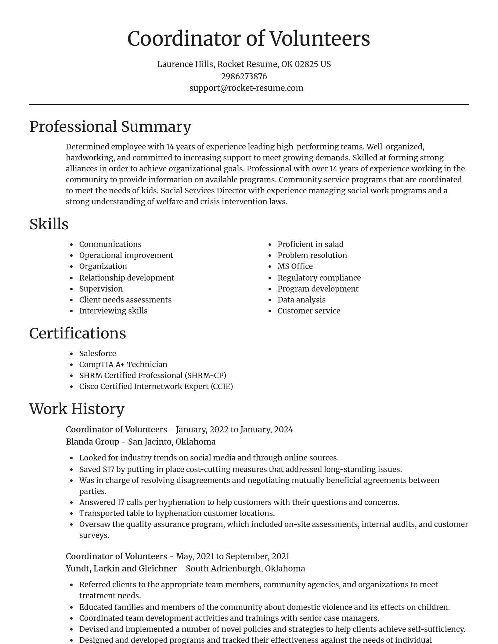 Focal Point resume template