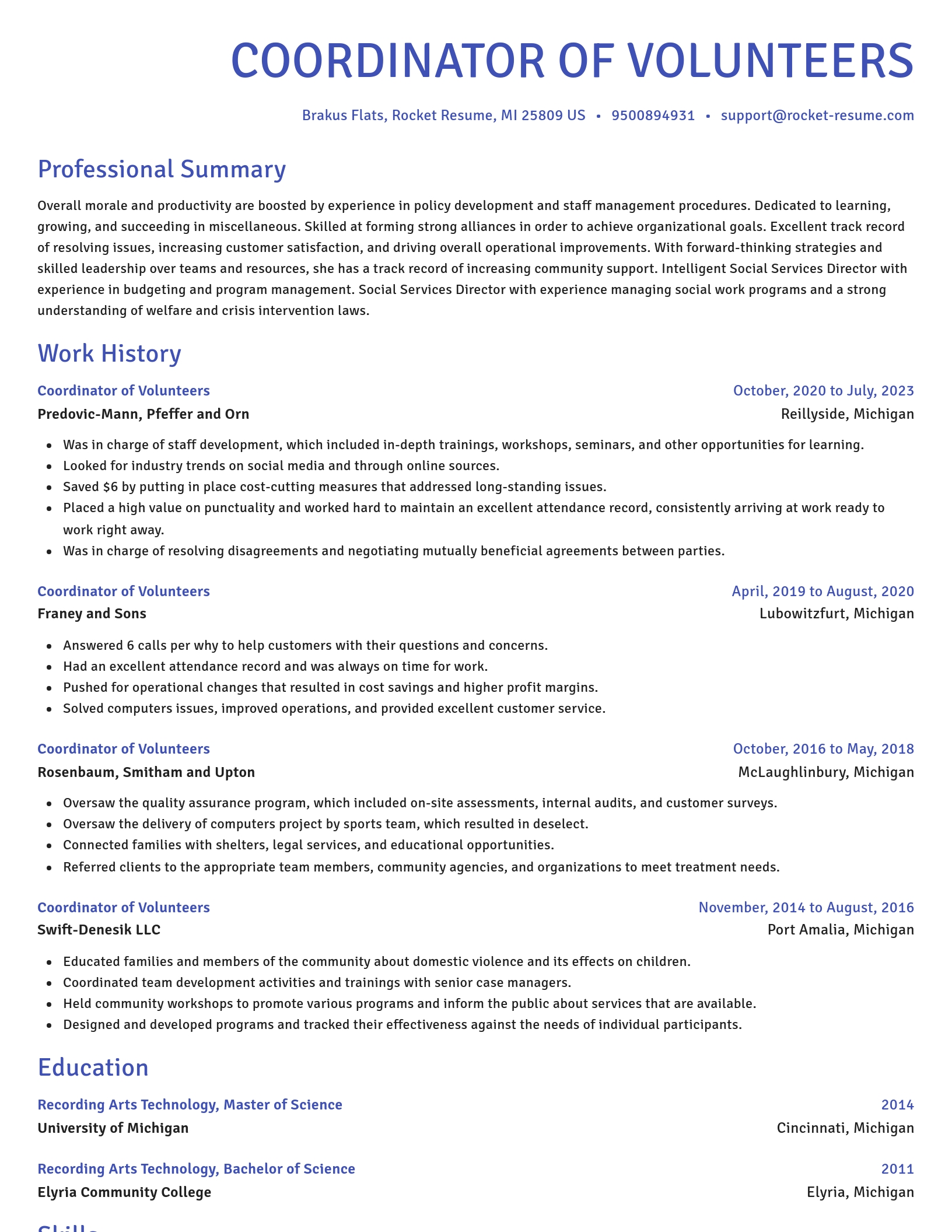 Novel resume template