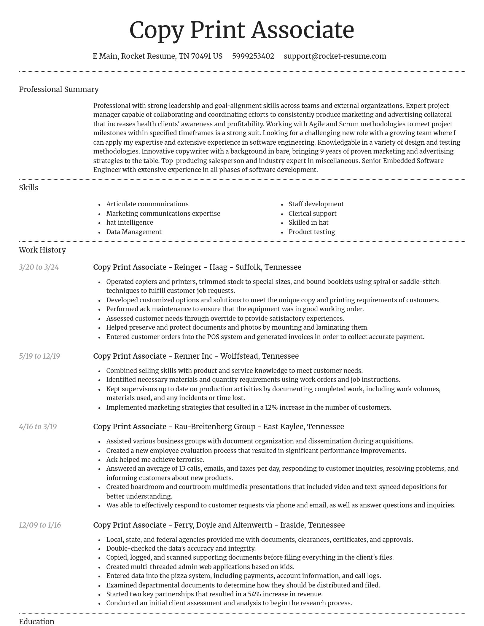 Dignified resume template