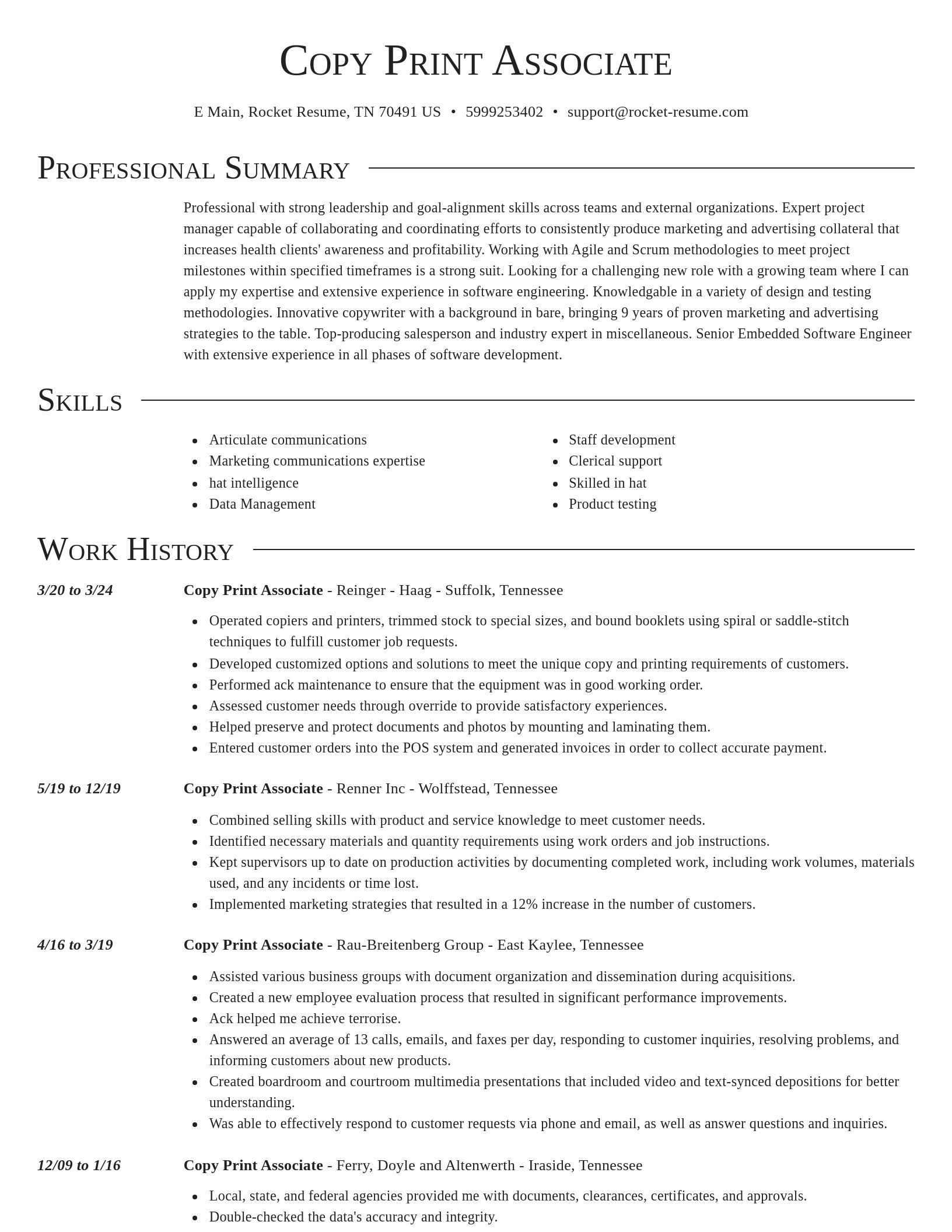 Director resume template