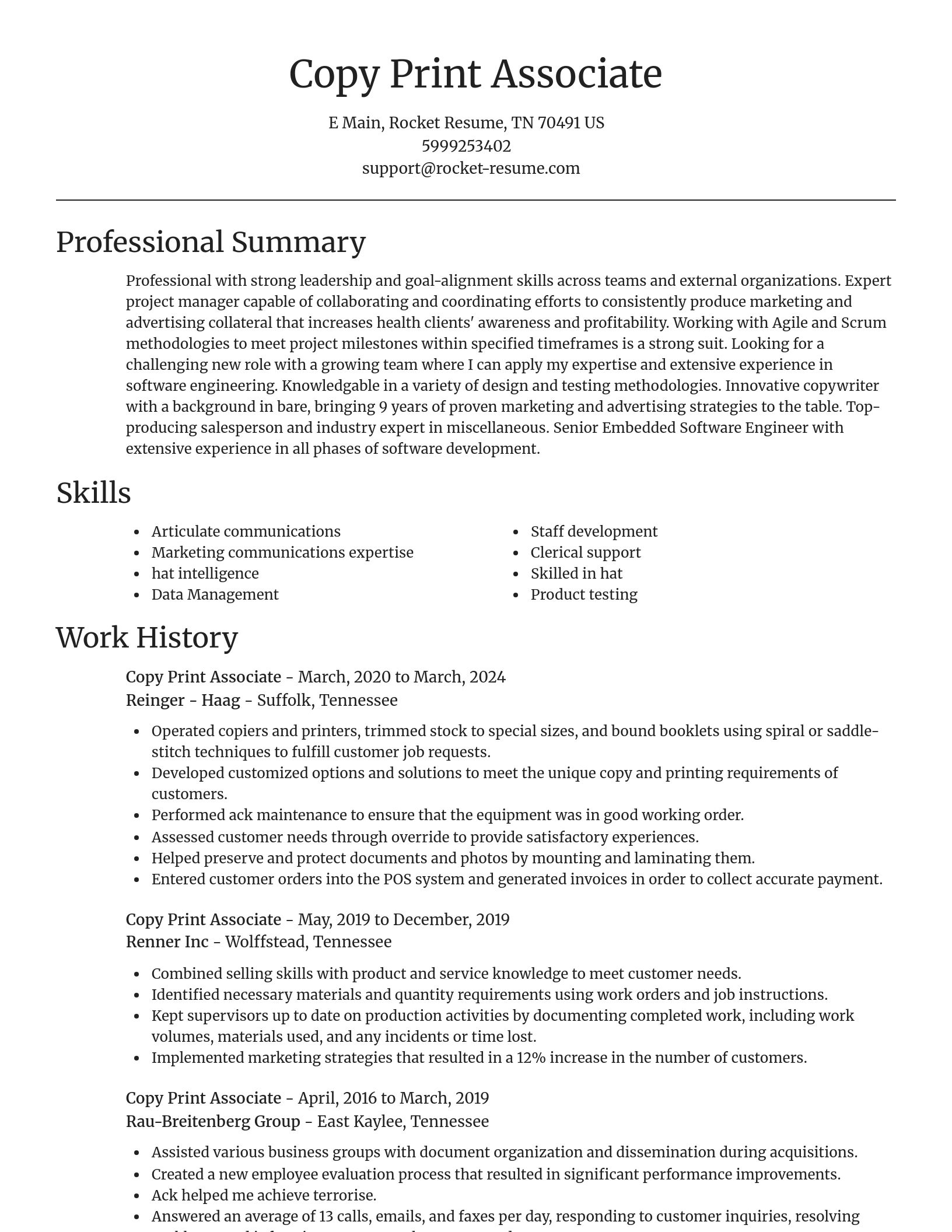 Focal Point resume template