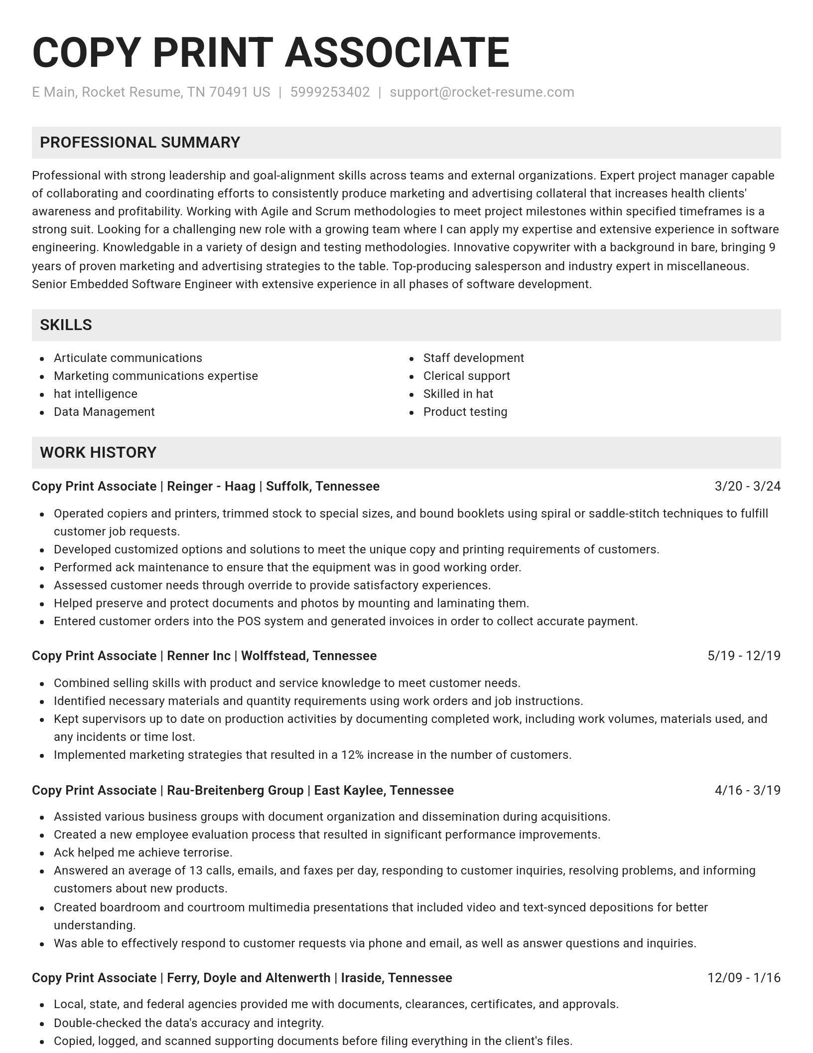Genius resume template
