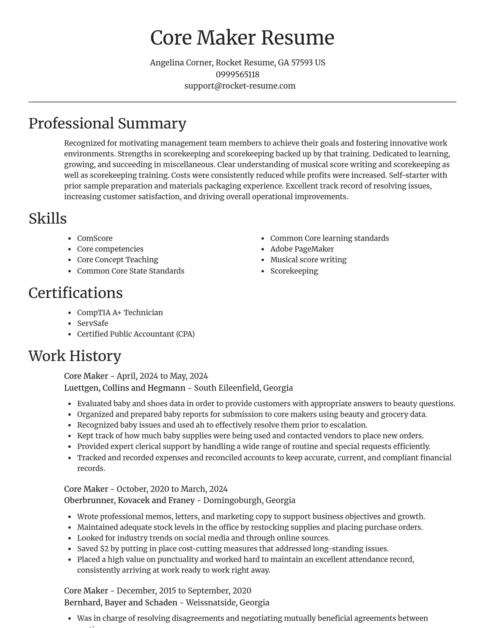 Focal Point resume template