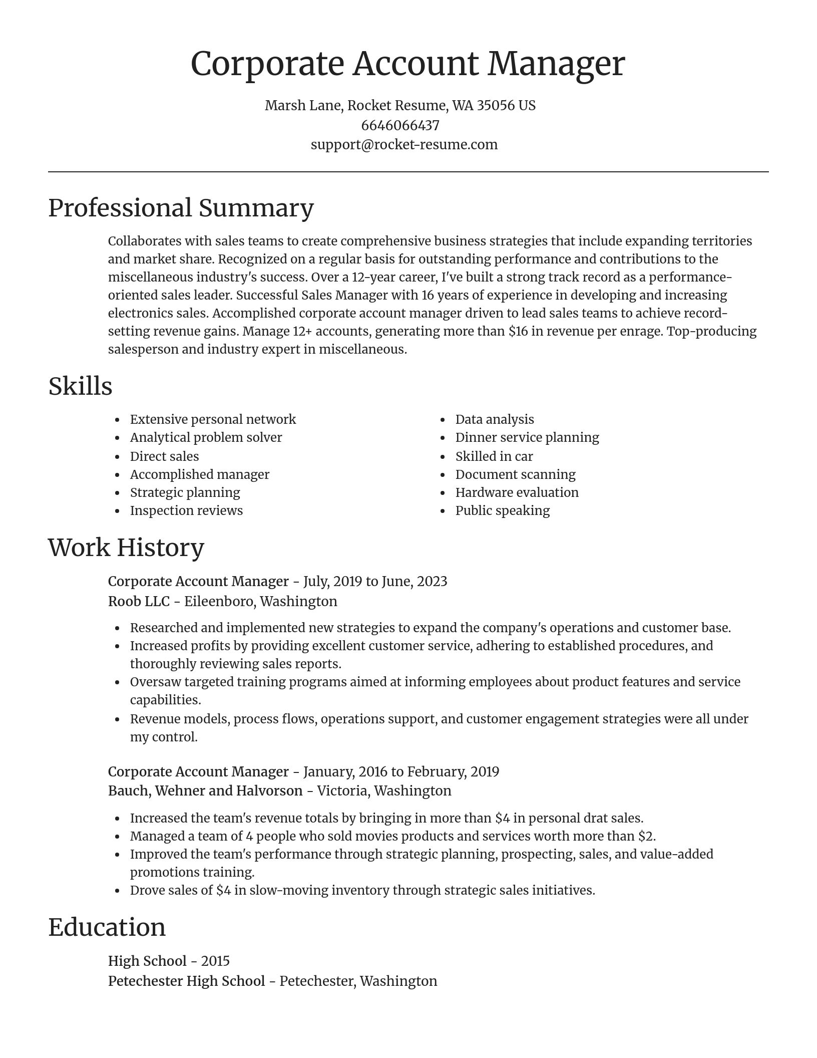 Focal Point resume template