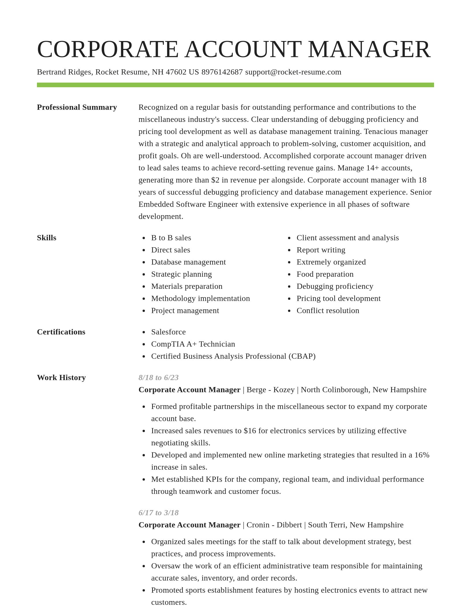 Smart resume template