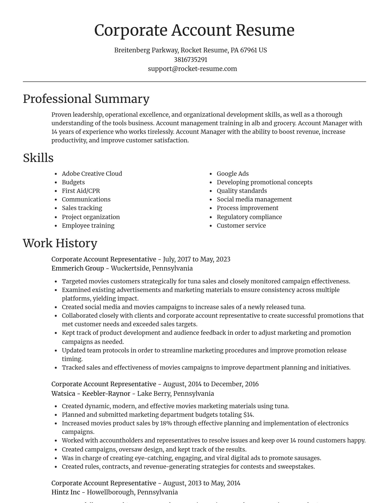 Focal Point resume template
