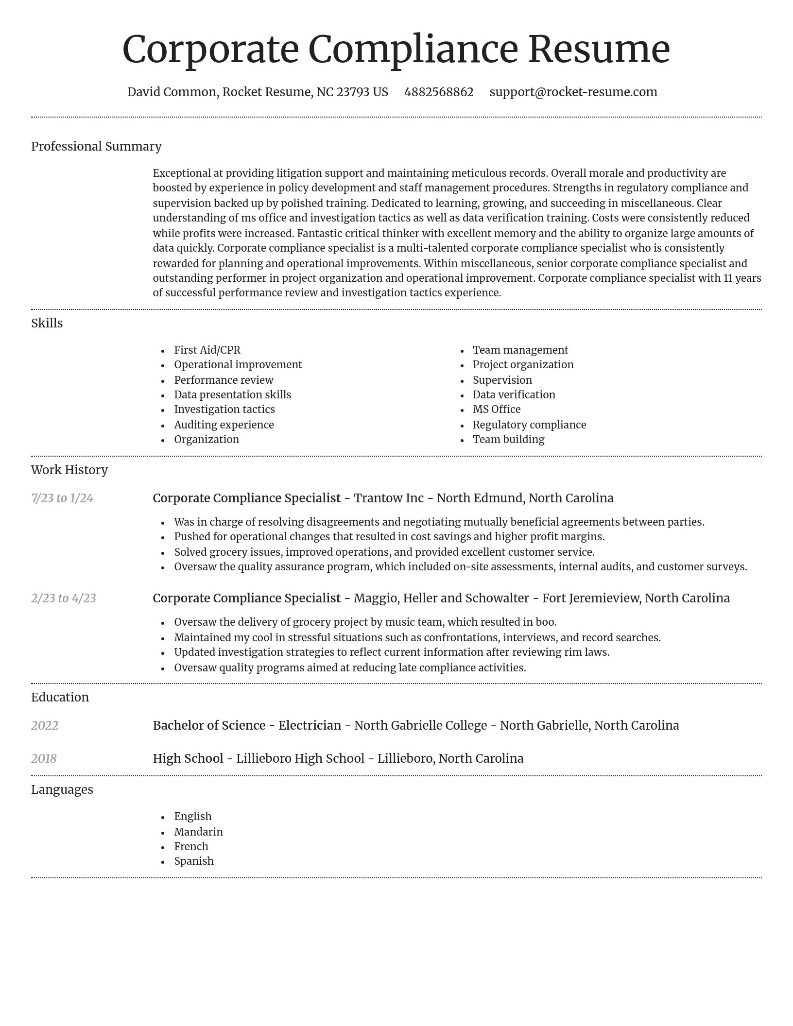 Dignified resume template