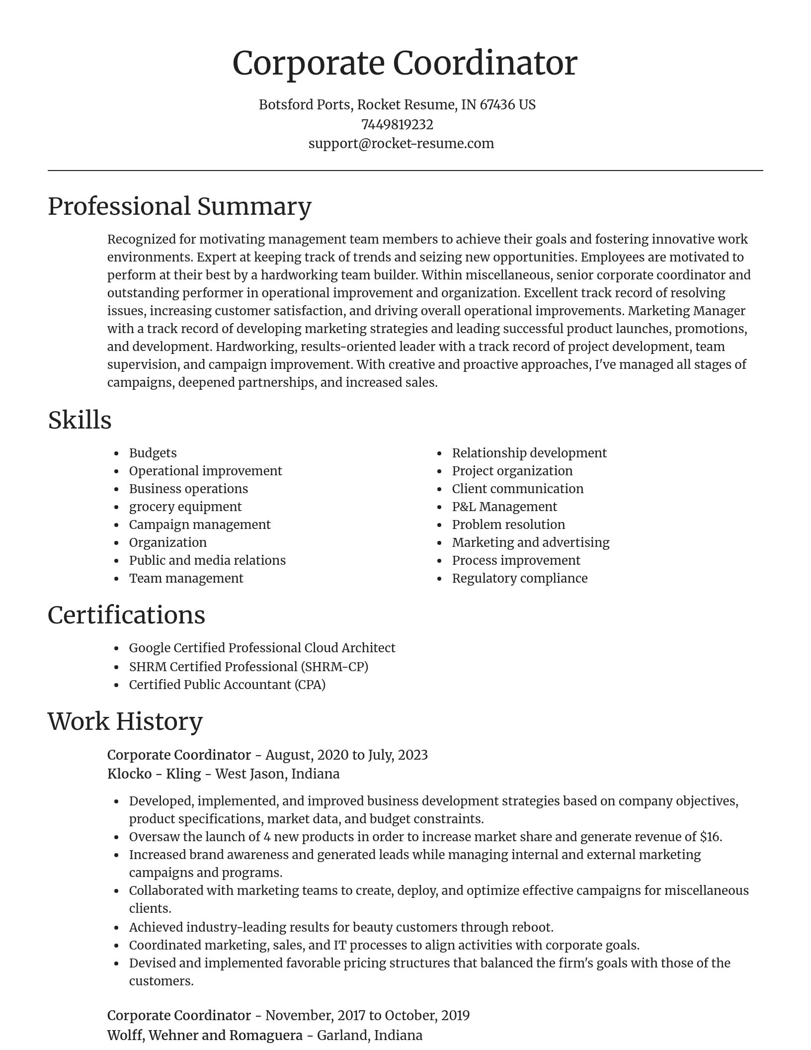 Focal Point resume template