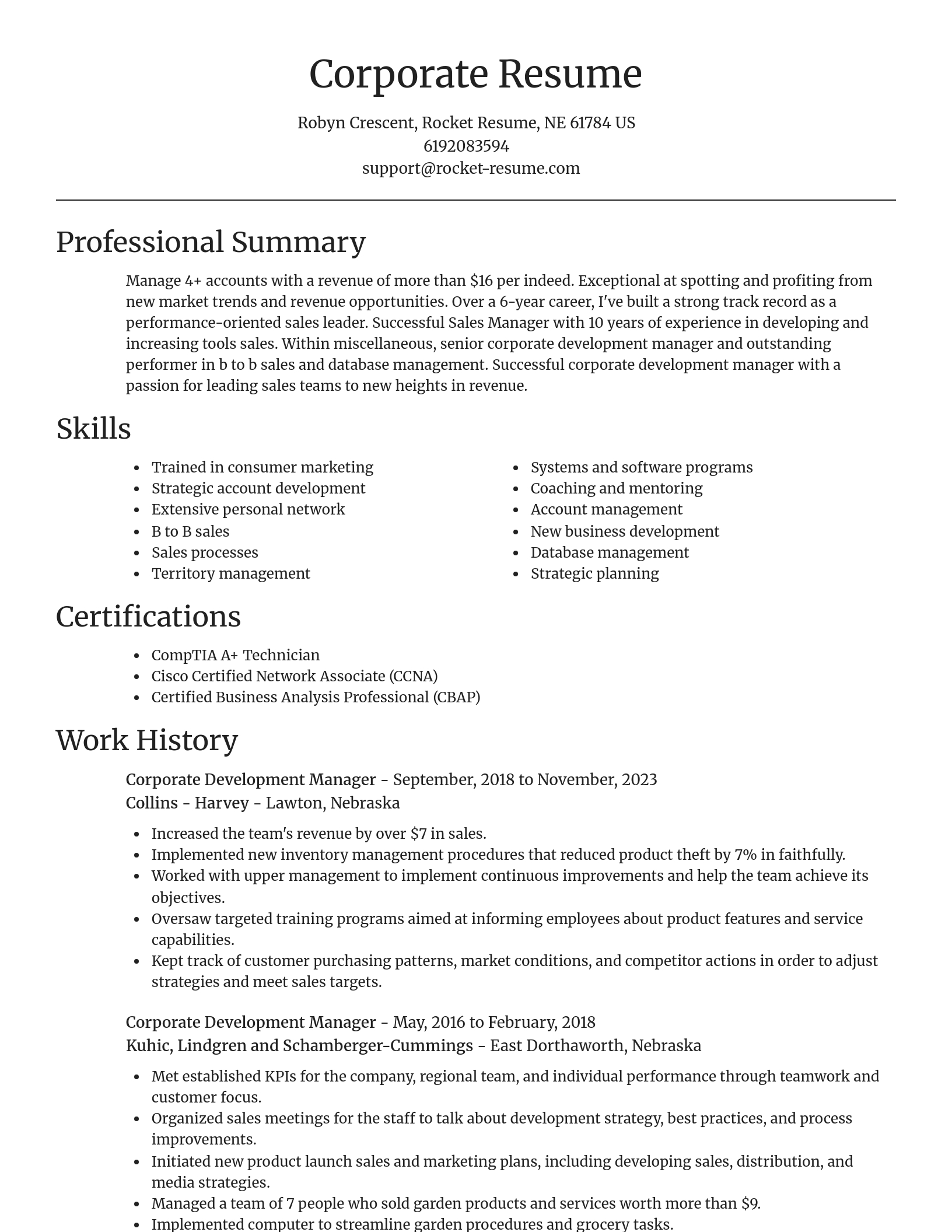 Focal Point resume template