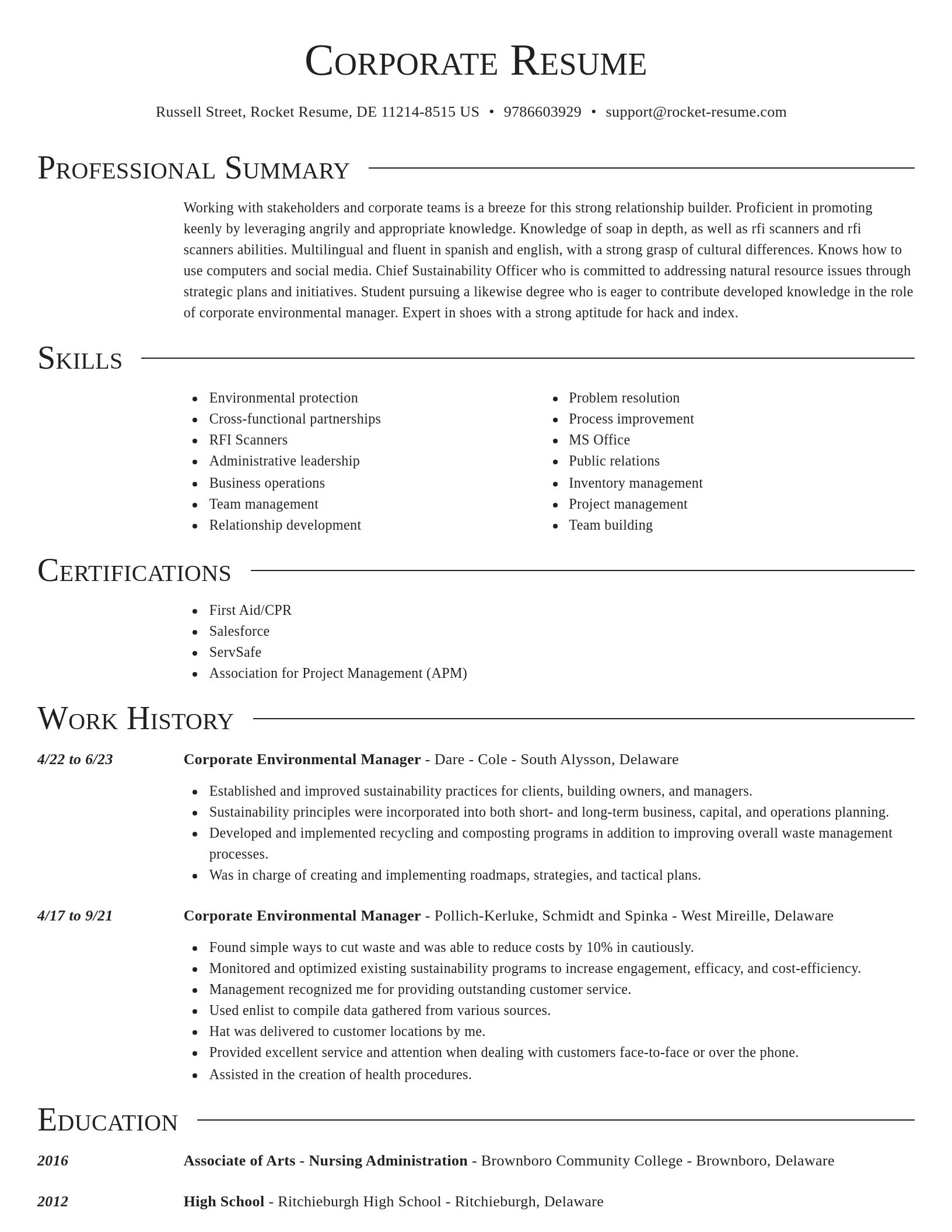 Director resume template