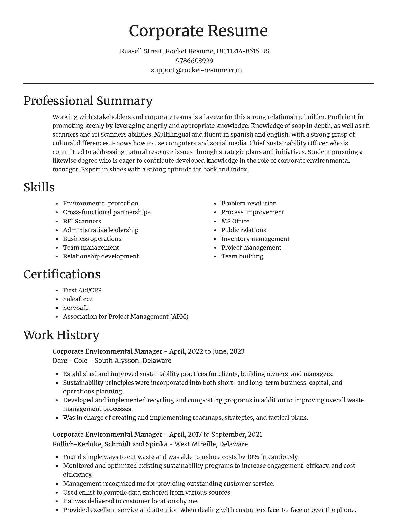 Focal Point resume template