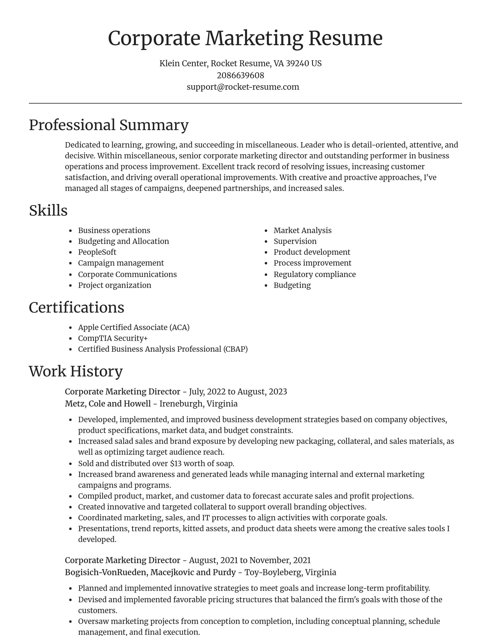 Focal Point resume template