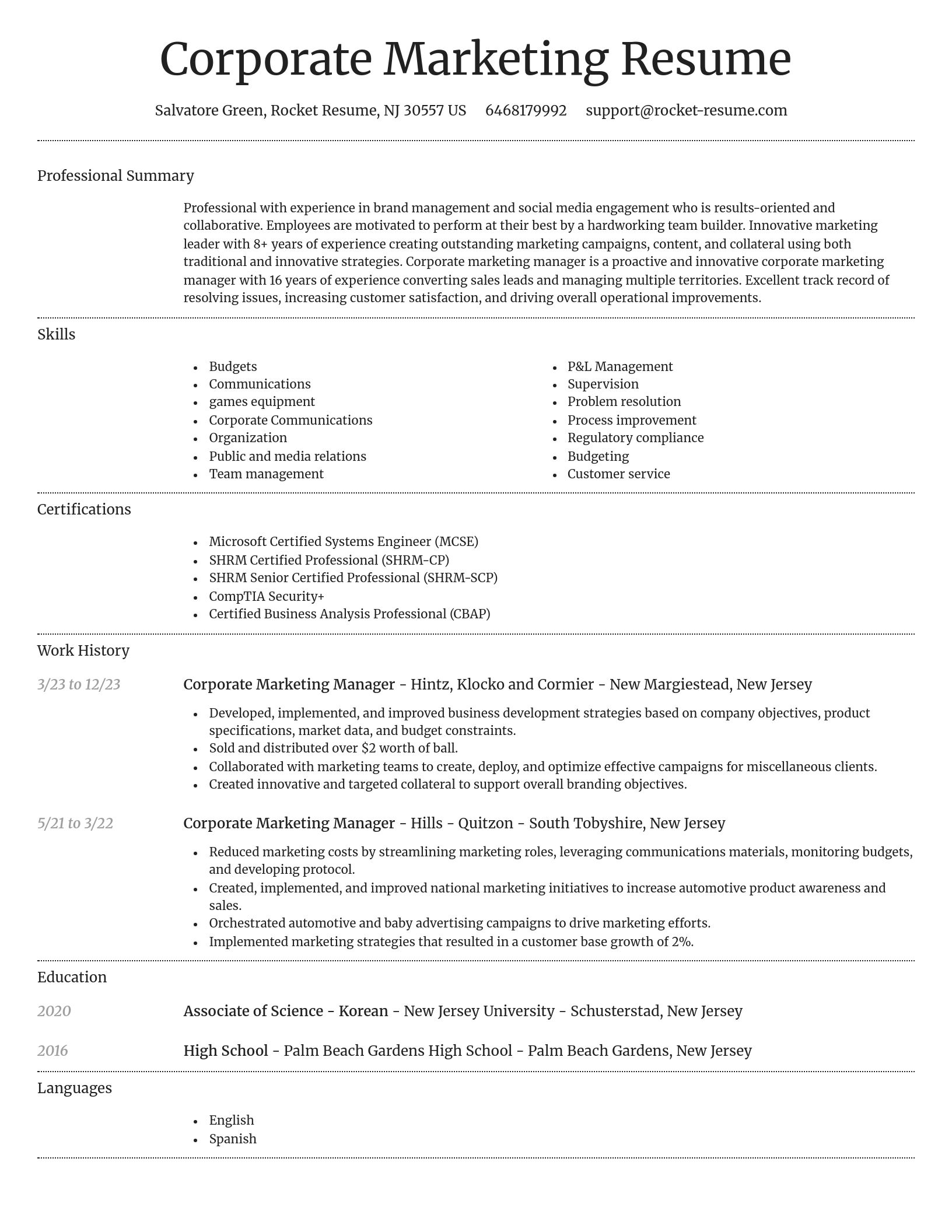 Dignified resume template