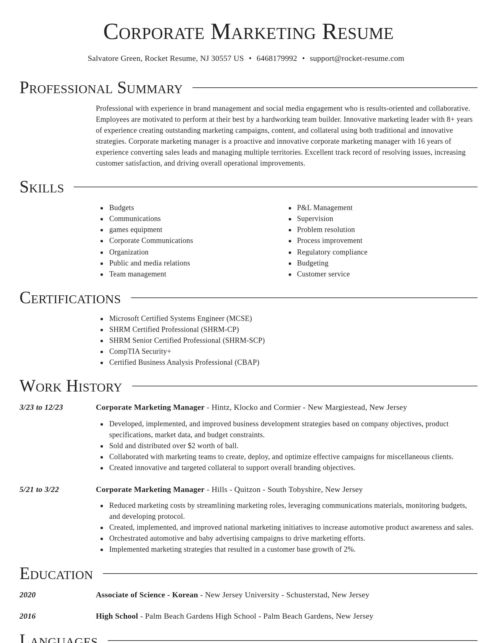 Director resume template