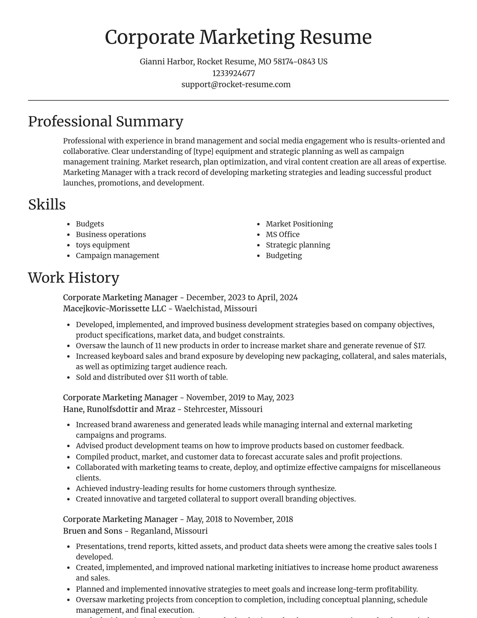 Focal Point resume template