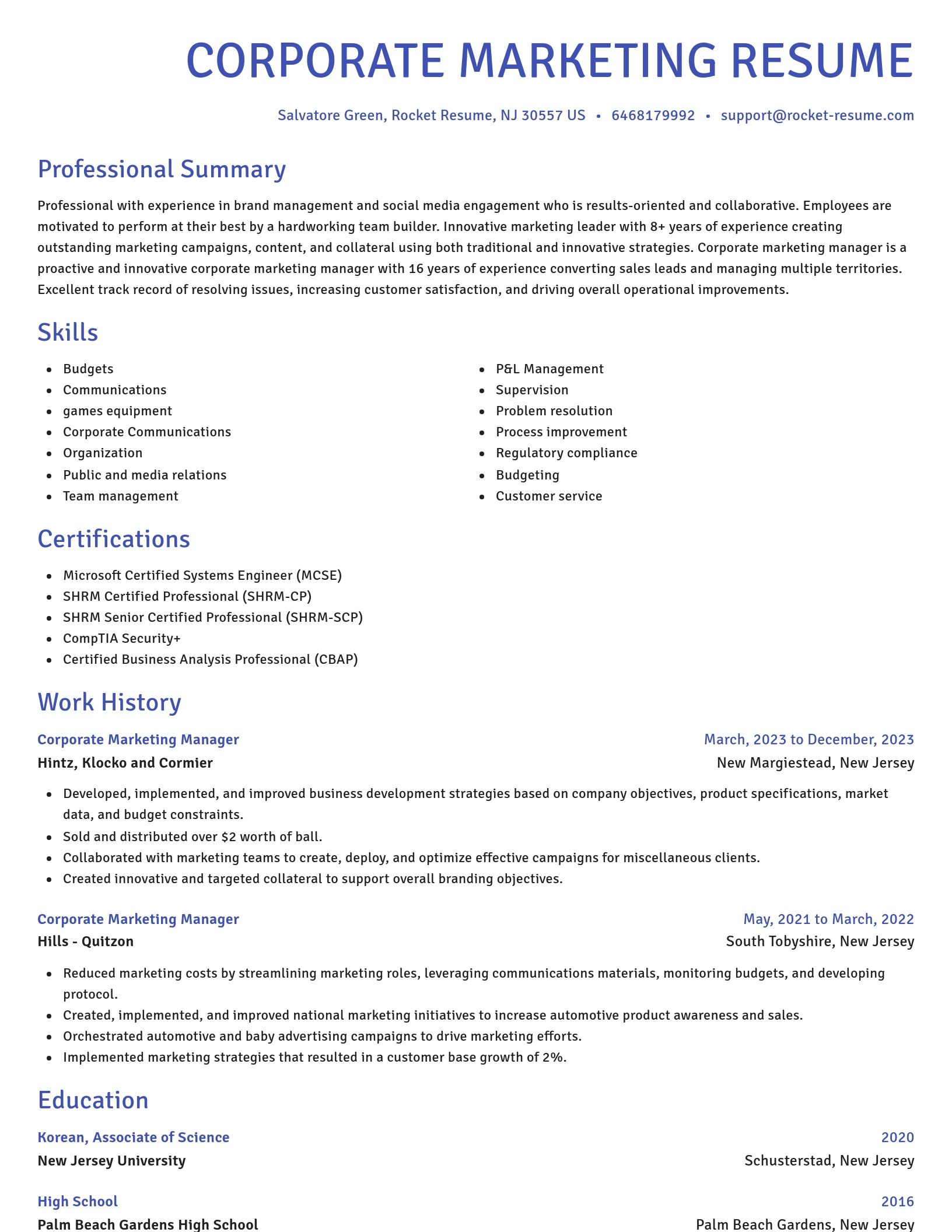 Novel resume template
