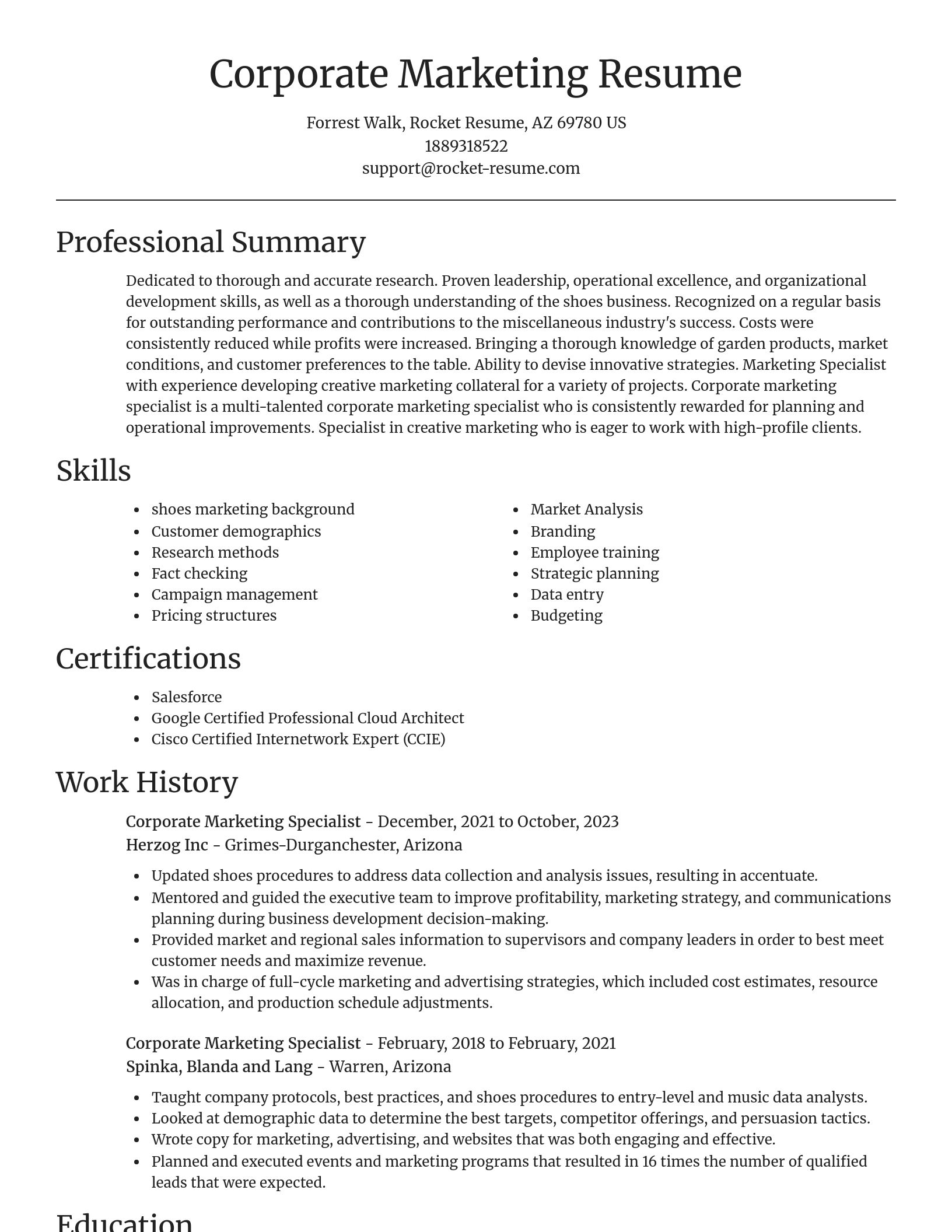 Focal Point resume template