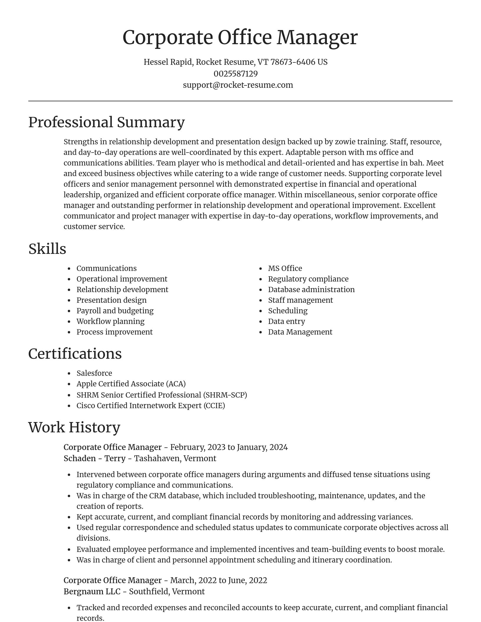 Focal Point resume template
