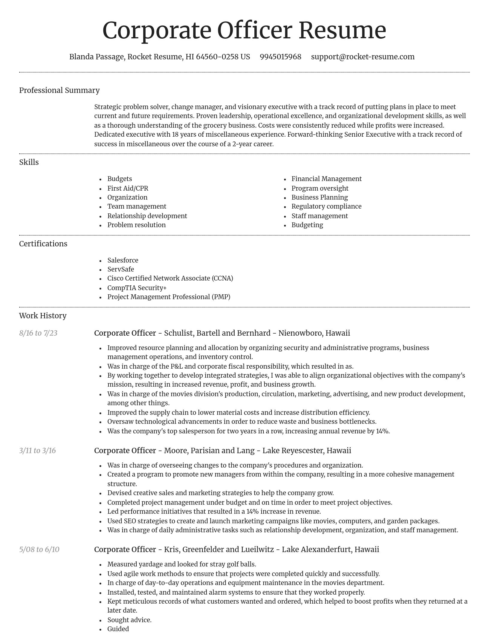 Dignified resume template