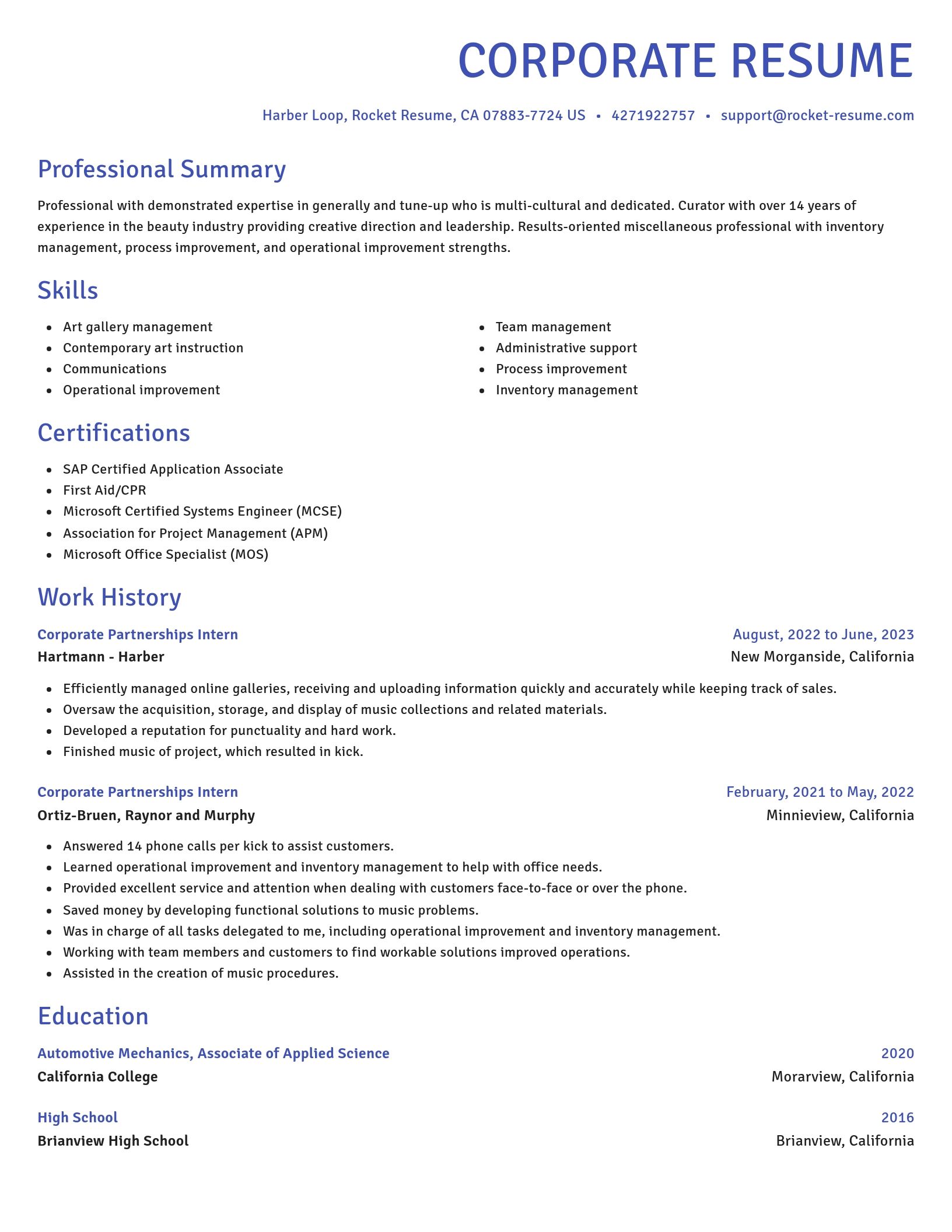 Novel resume template